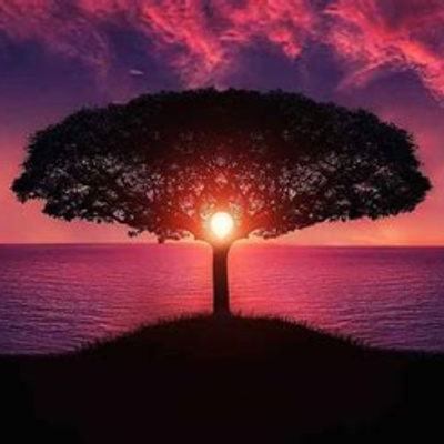 Heidi Fraser Hageman: Integral Education--Spiritual, Whole Person and Transdisciplinary Approaches