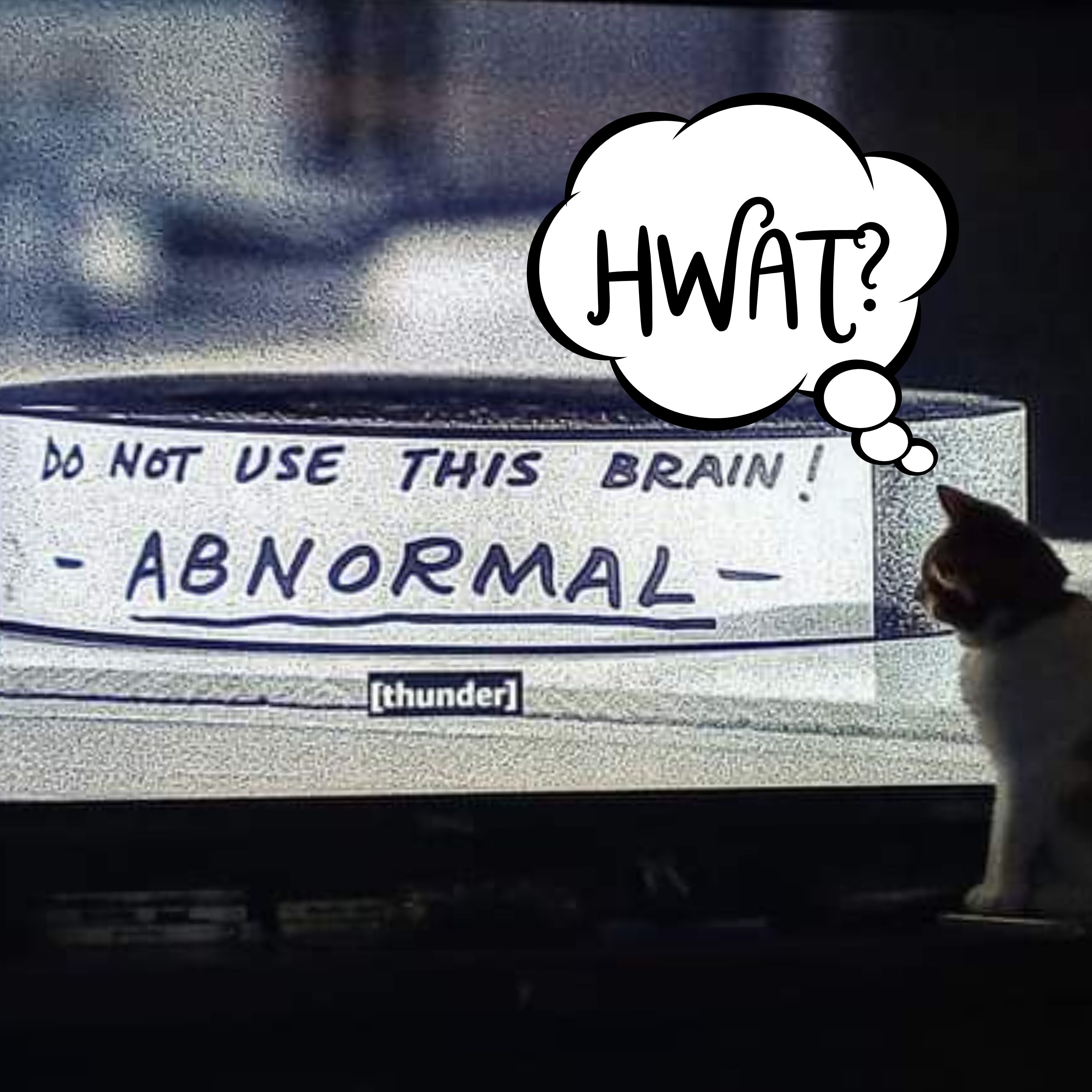 37: Arms and Legs Human Head and Tail of an Alligator