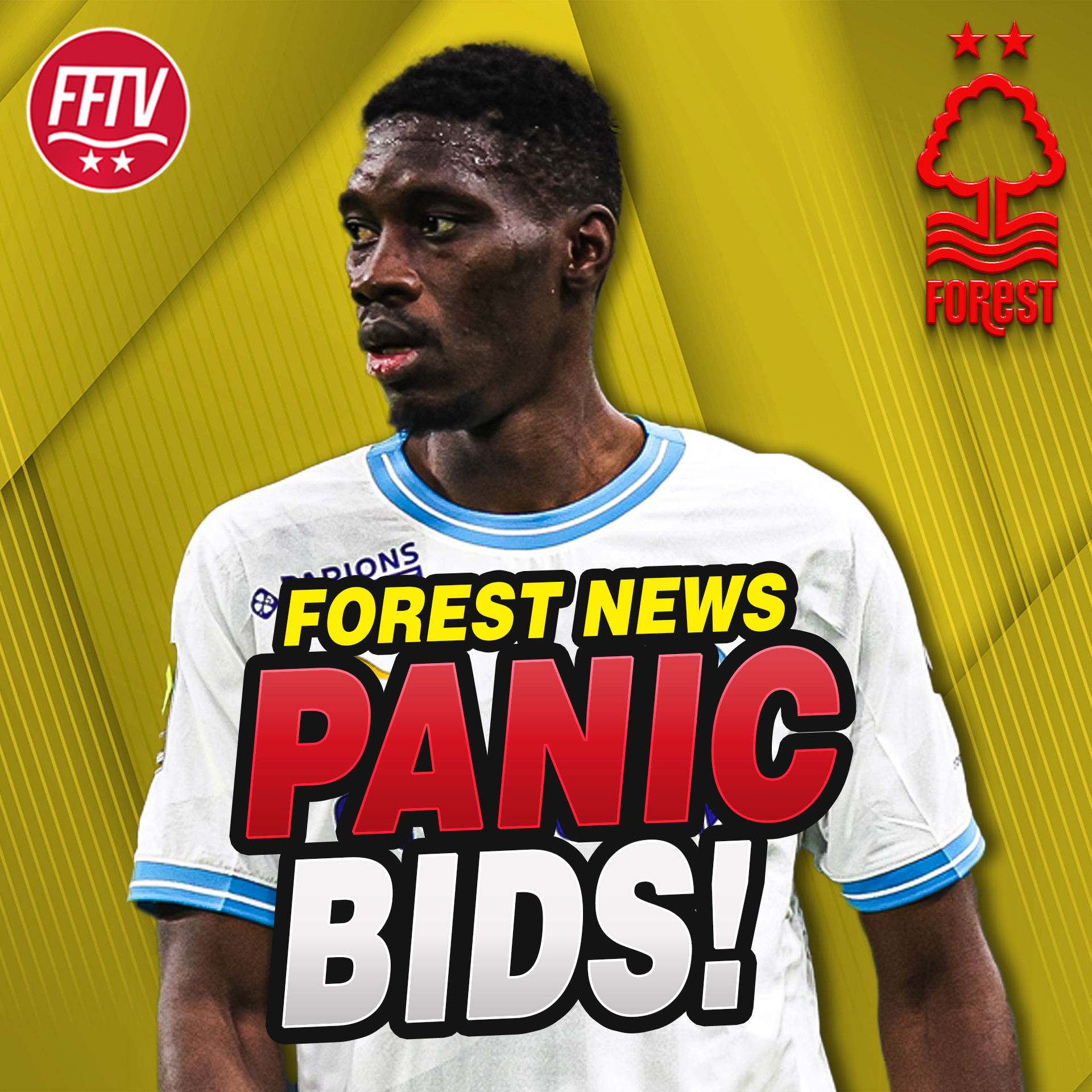 Forest Fan TV - A Nottingham Forest Podcast