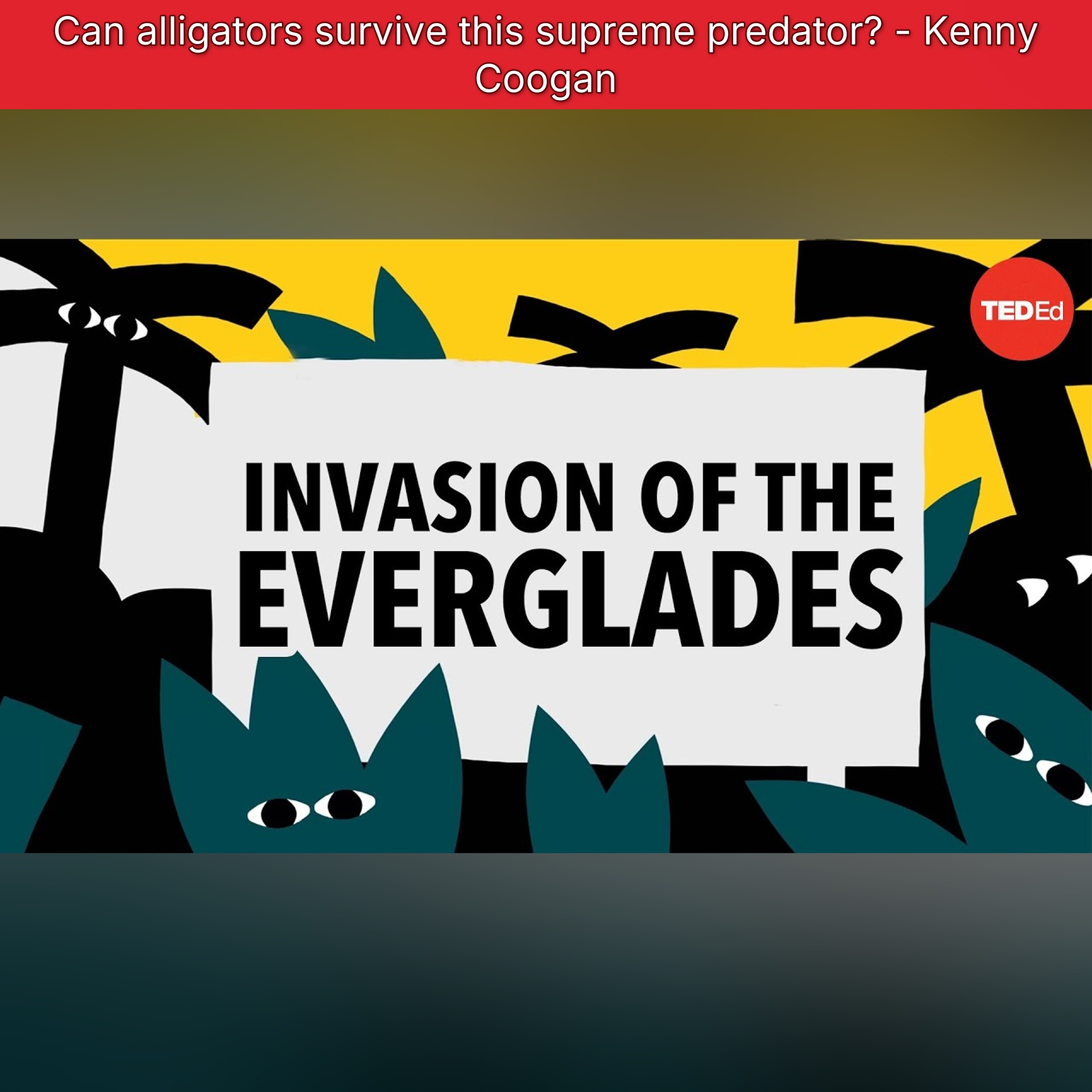 Can alligators survive this supreme predator? - Kenny Coogan episode artwork