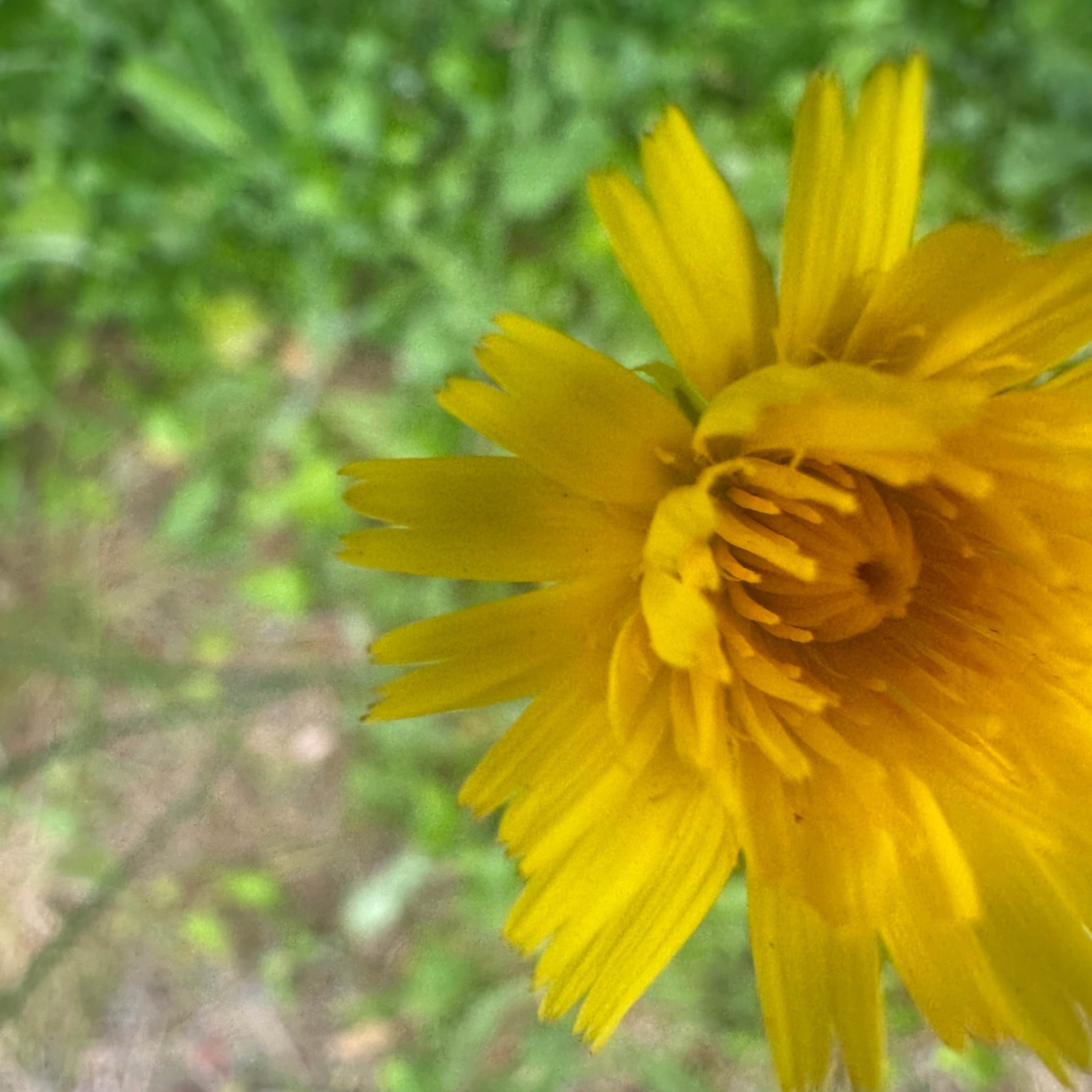 Abstract Poetry in its second season, featuring the poem of Love.