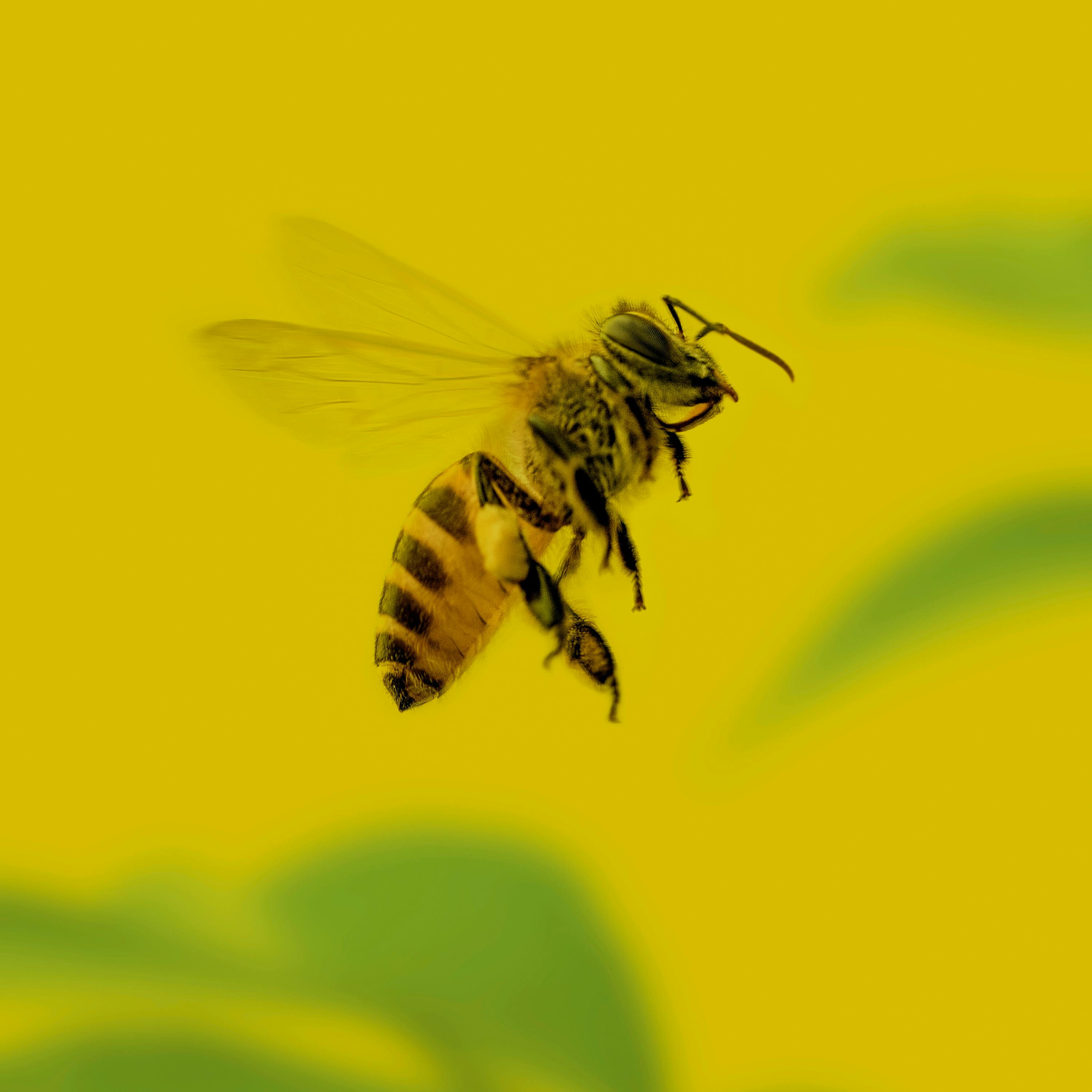 Ep. 335: The Beauty Of Busy-Ness