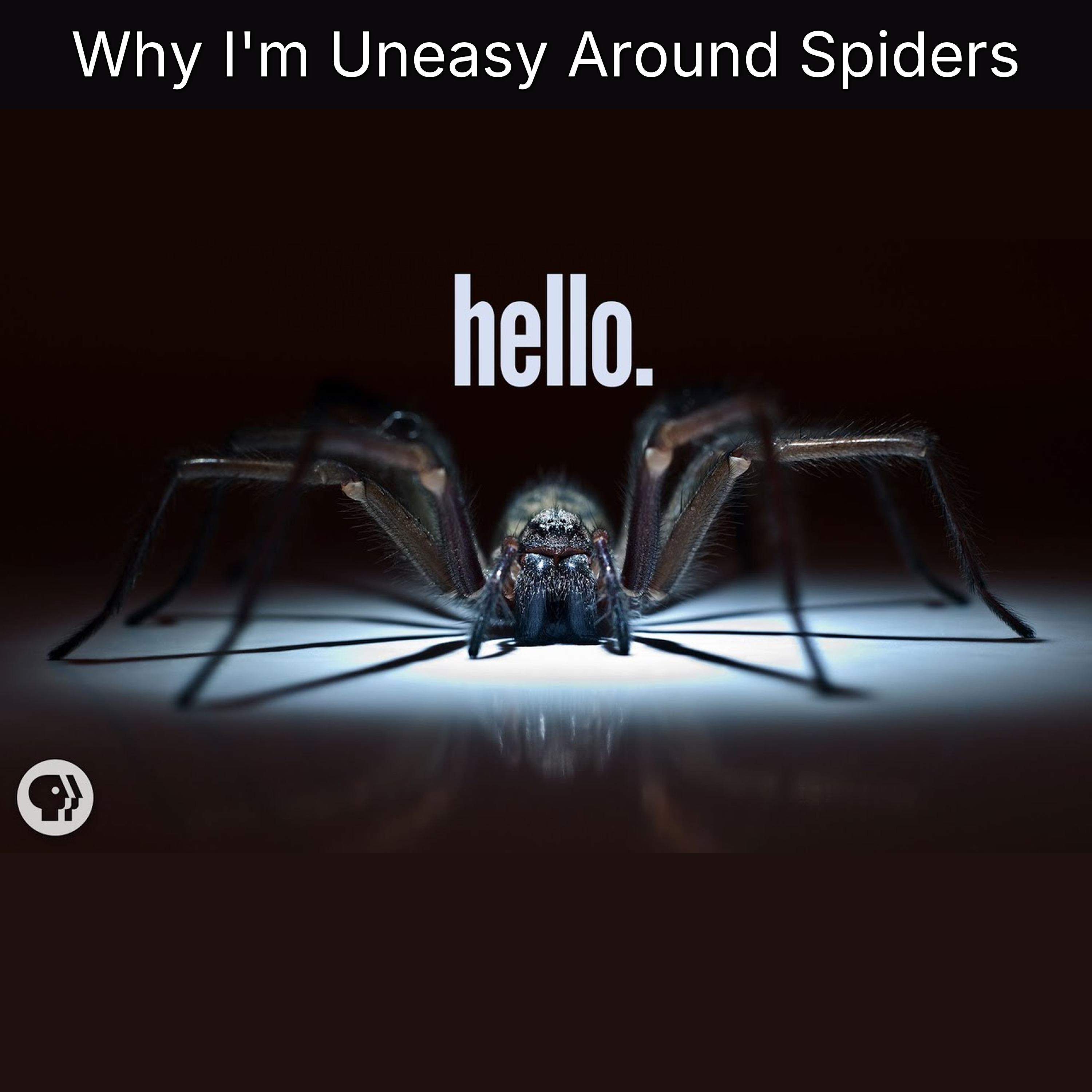 Why I'm Uneasy Around Spiders episode artwork