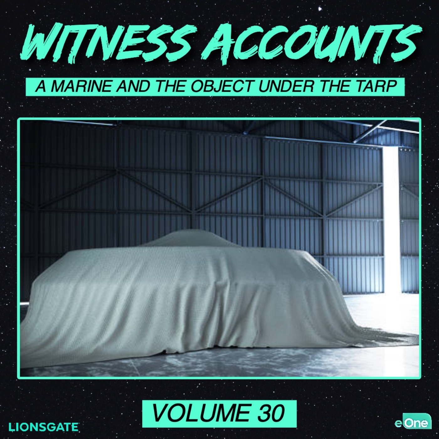 Witness Accounts 30: A Marine and the Object Under the Tarp
