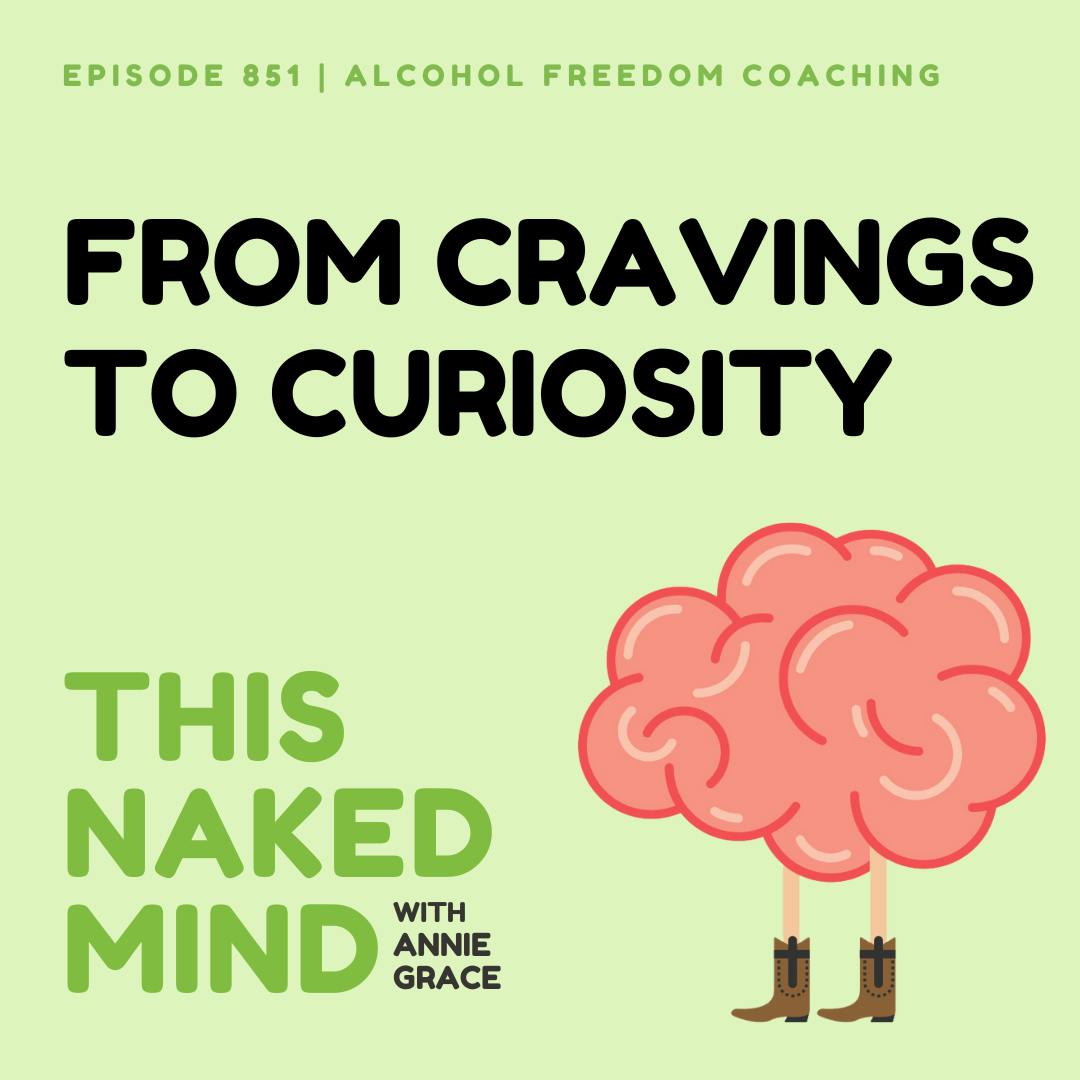 From Cravings to Curiosity | Alcohol Freedom Coaching | E851 From Cravings to Curiosity | Alcohol Freedom Coaching | E851