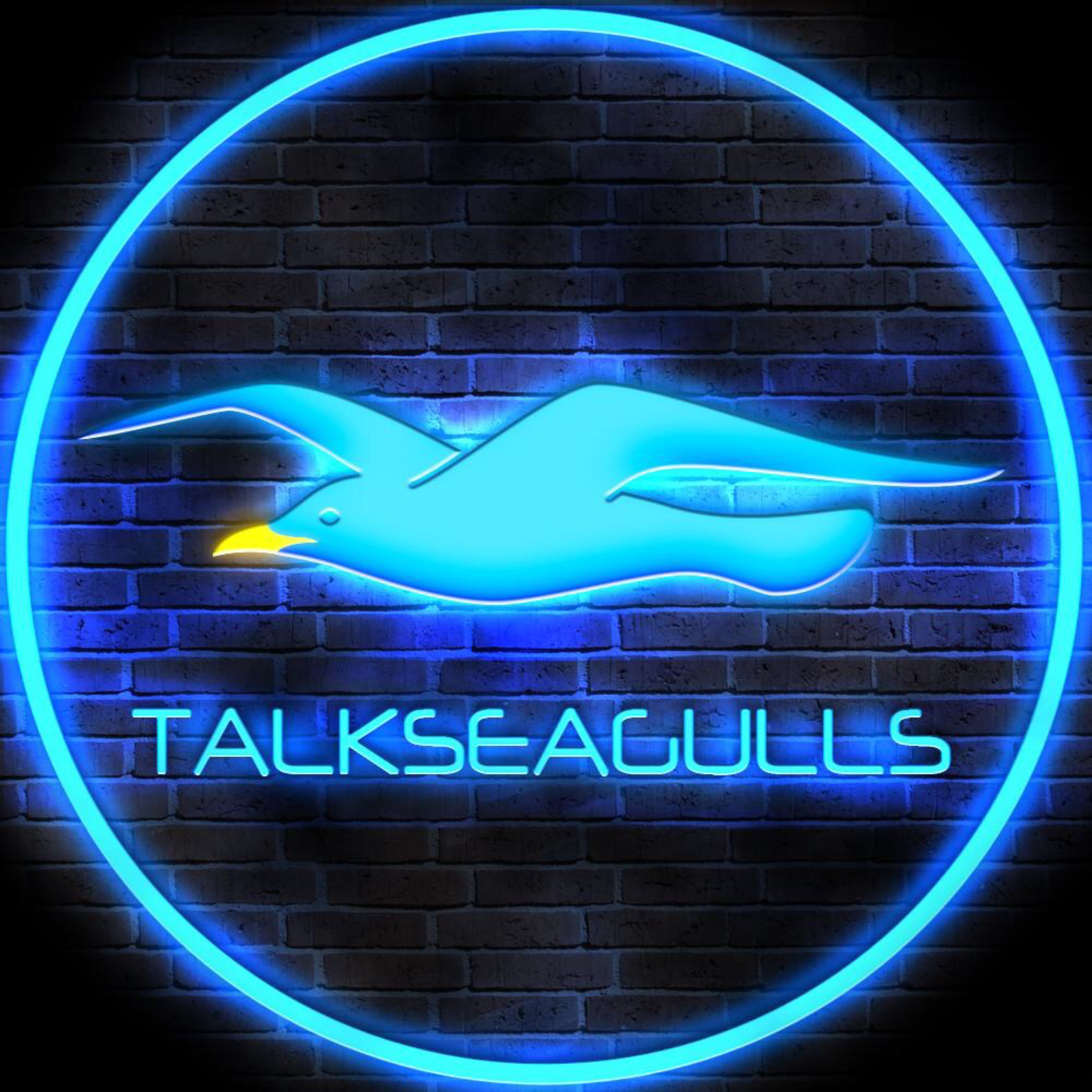 Talk Seagulls