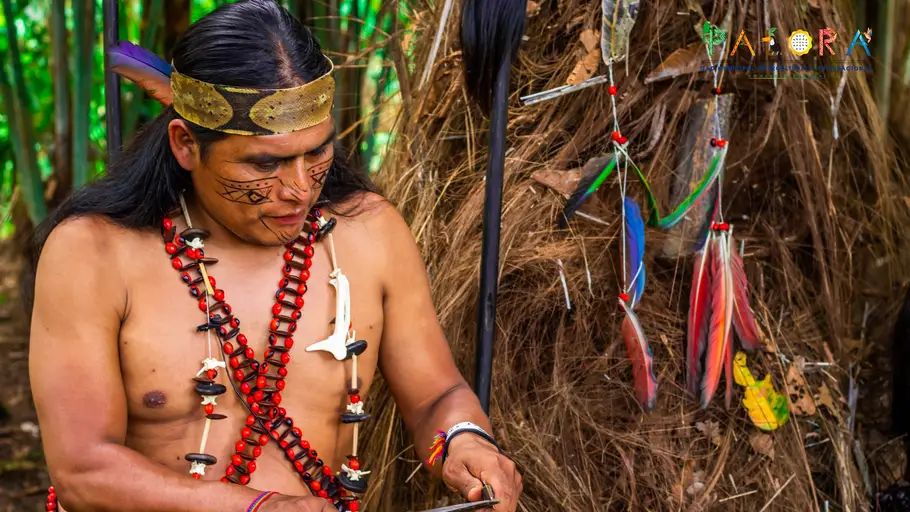 Cómo abrir las puertas de la percepción