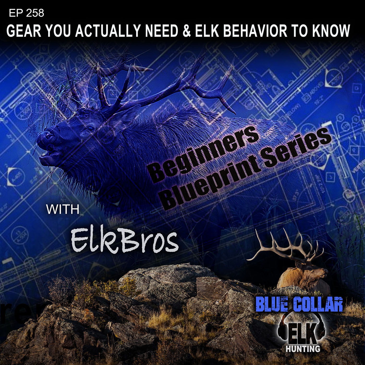 Gear You Actually Need & Elk Behaviors You Need To Know - BluePrint Series 2
