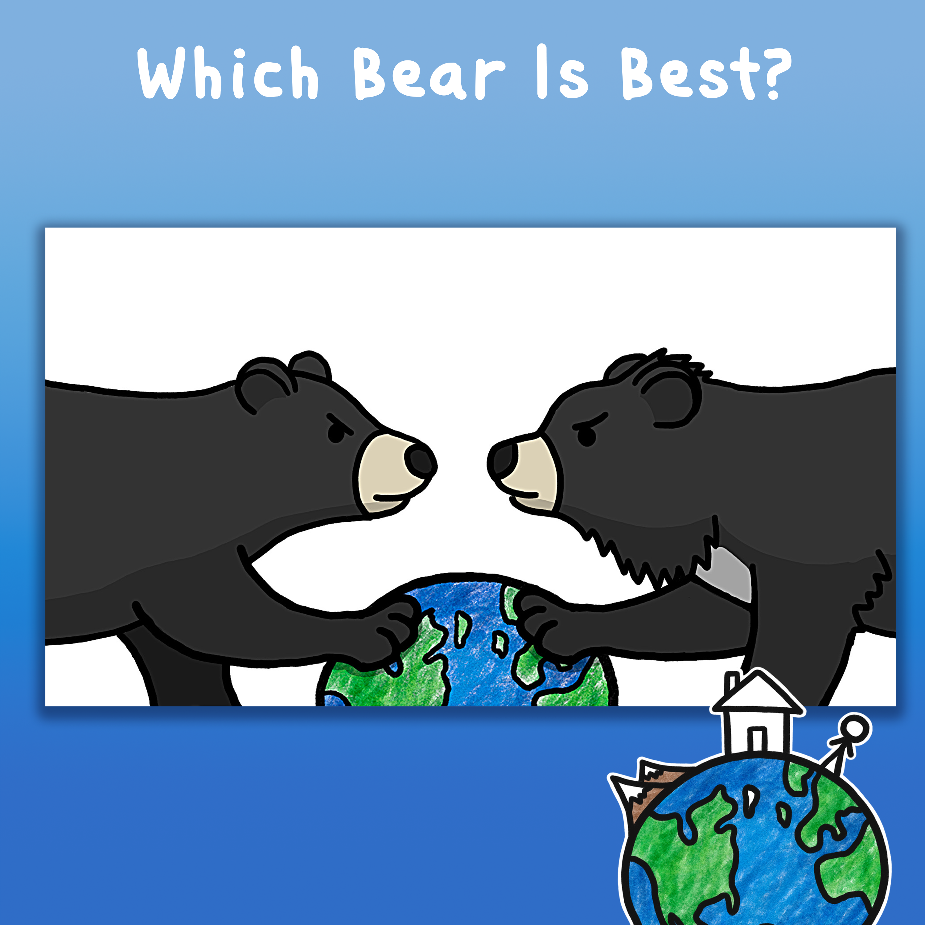 Which Bear Is Best?