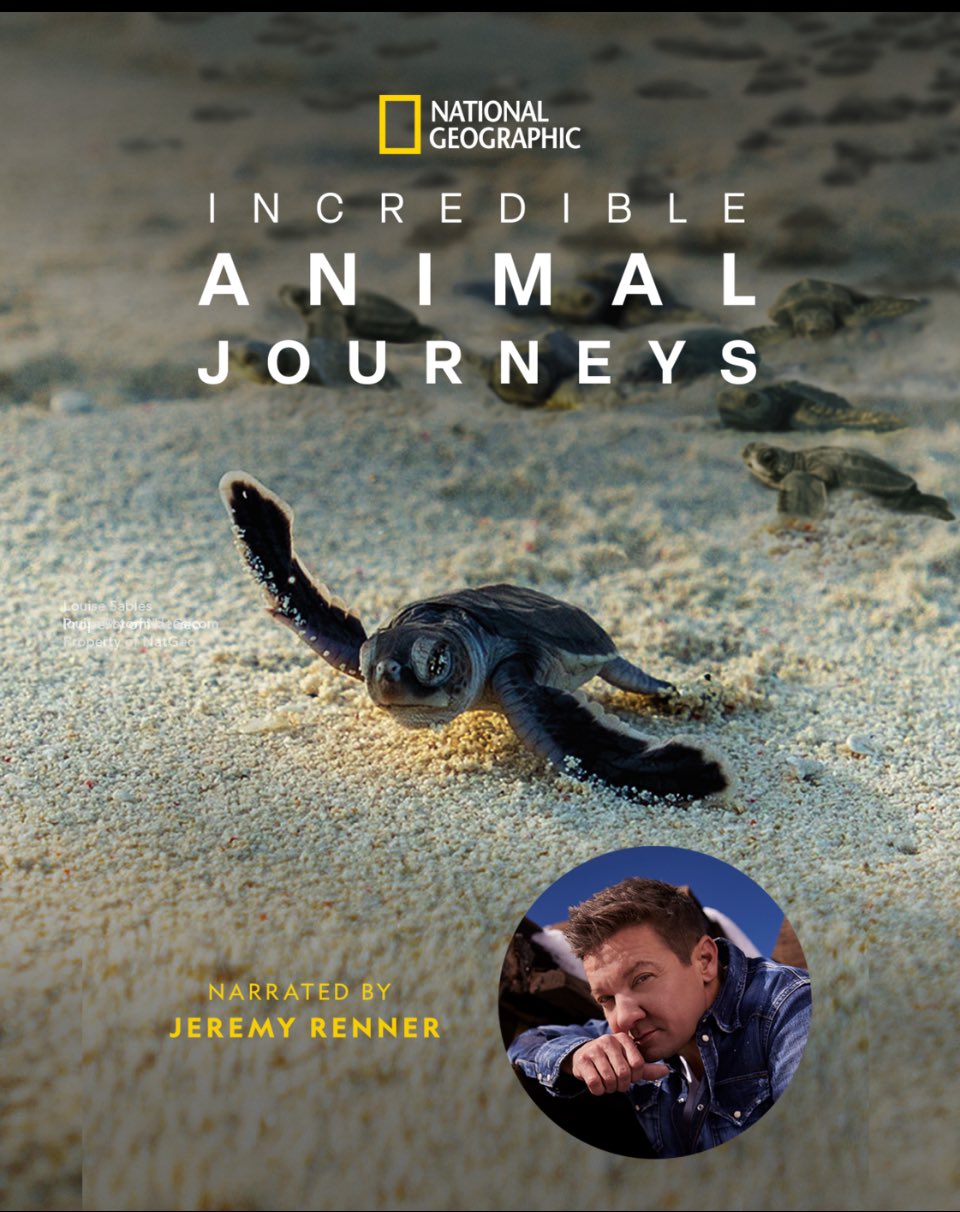 Episode 363: Incredible Animal Journeys w/Sarah Gibbs