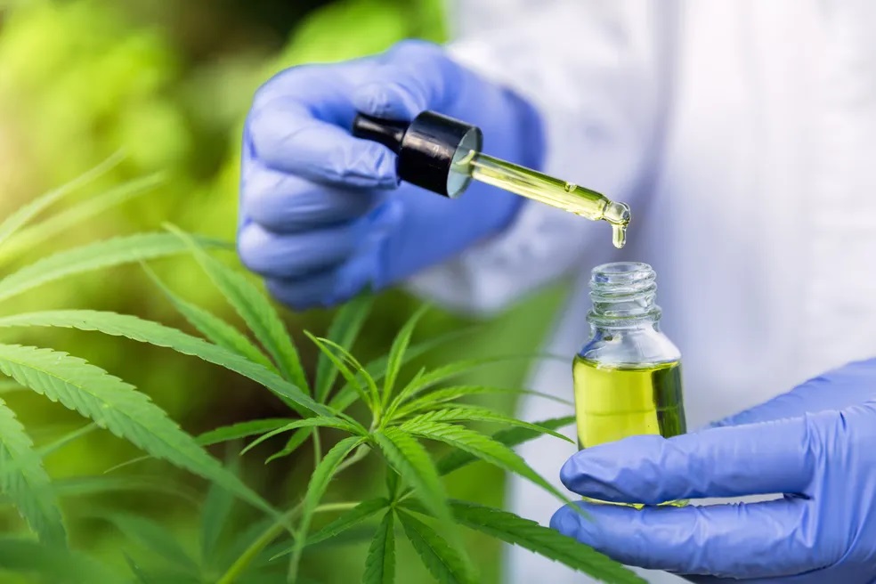 Anvisa apresenta proposta para regulamentar produção de cannabis medicinal no Brasil episode artwork
