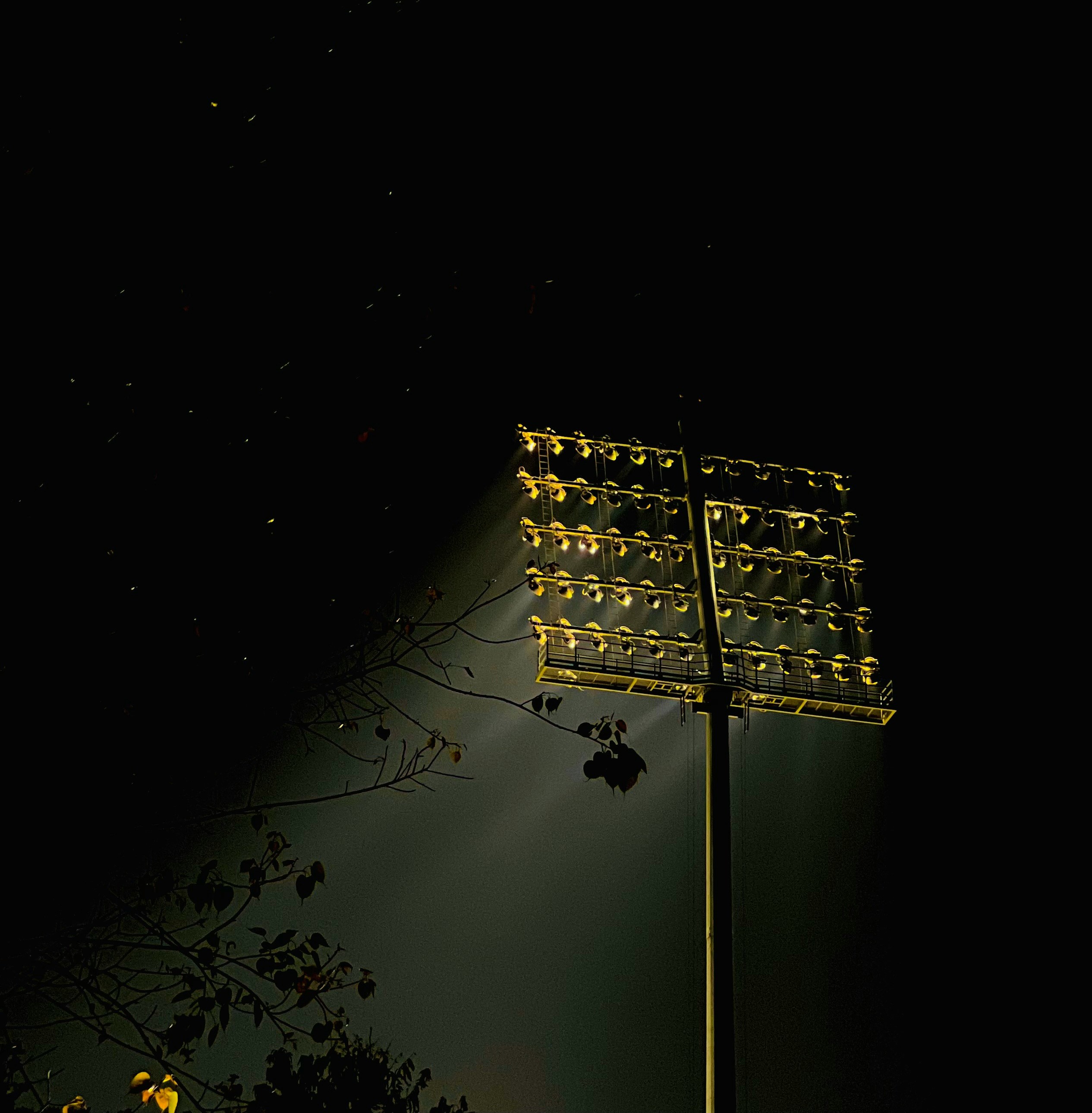 Soft Night Crickets: 8-Hour Serenade for Relaxation and Sleep episode artwork