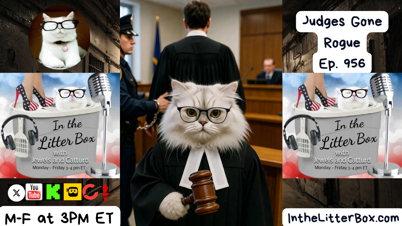 Judges Gone Rogue | In the Litter Box w/ Jewels & Catturd – Ep. 956 – 1/23/2026