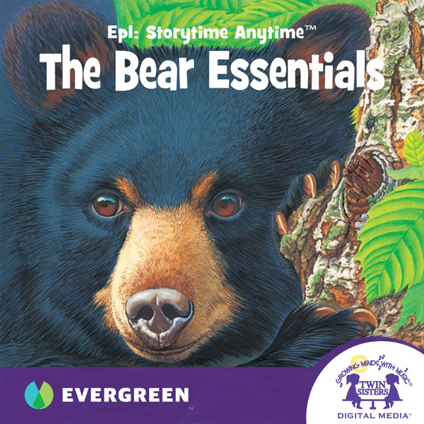 The Bear Essentials episode artwork