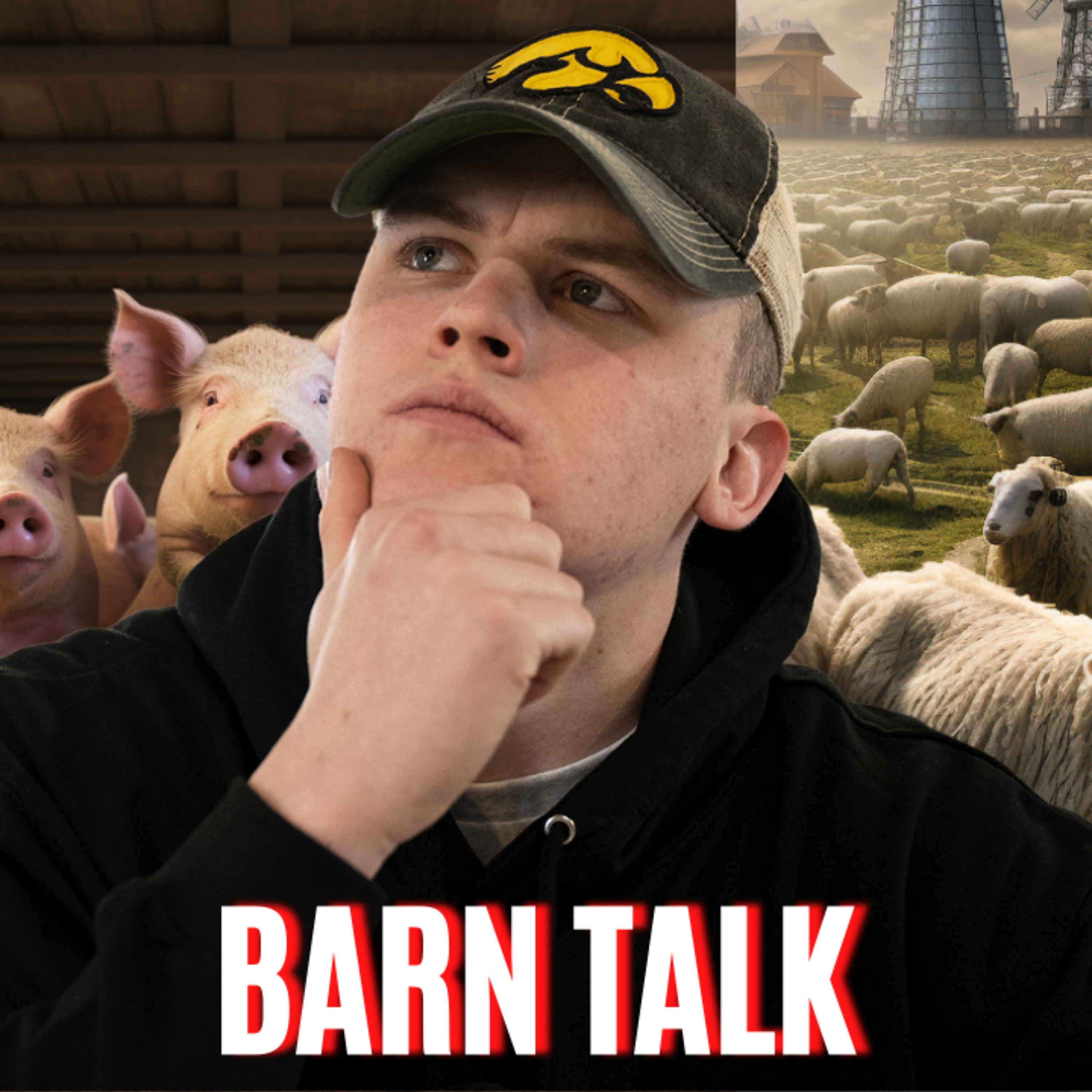 Barn Talk Q&A: What's in Pig Feed, Thoughts on Regenerative Agriculture & Buying a Skid Steer