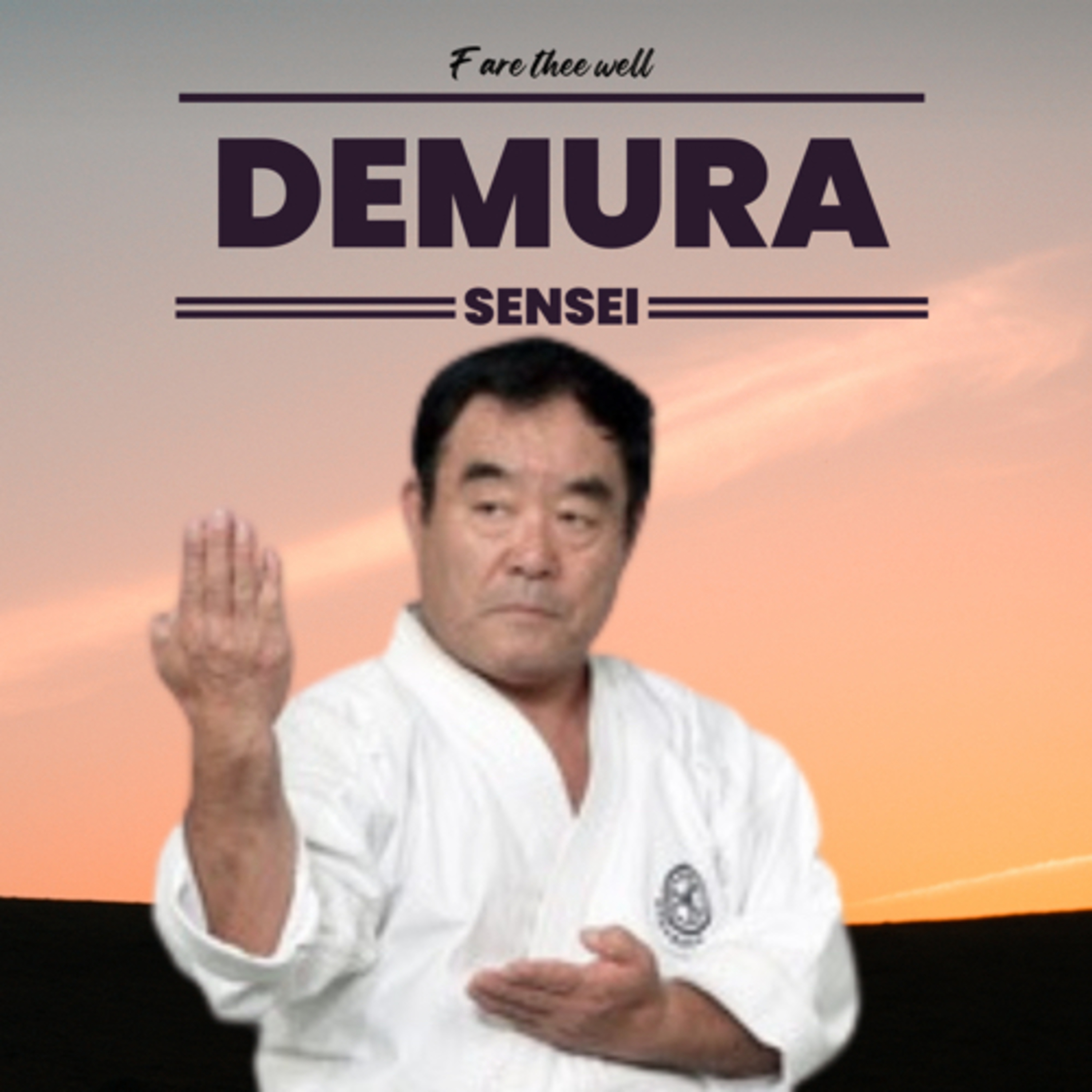 Fare Thee well Sensei episode artwork