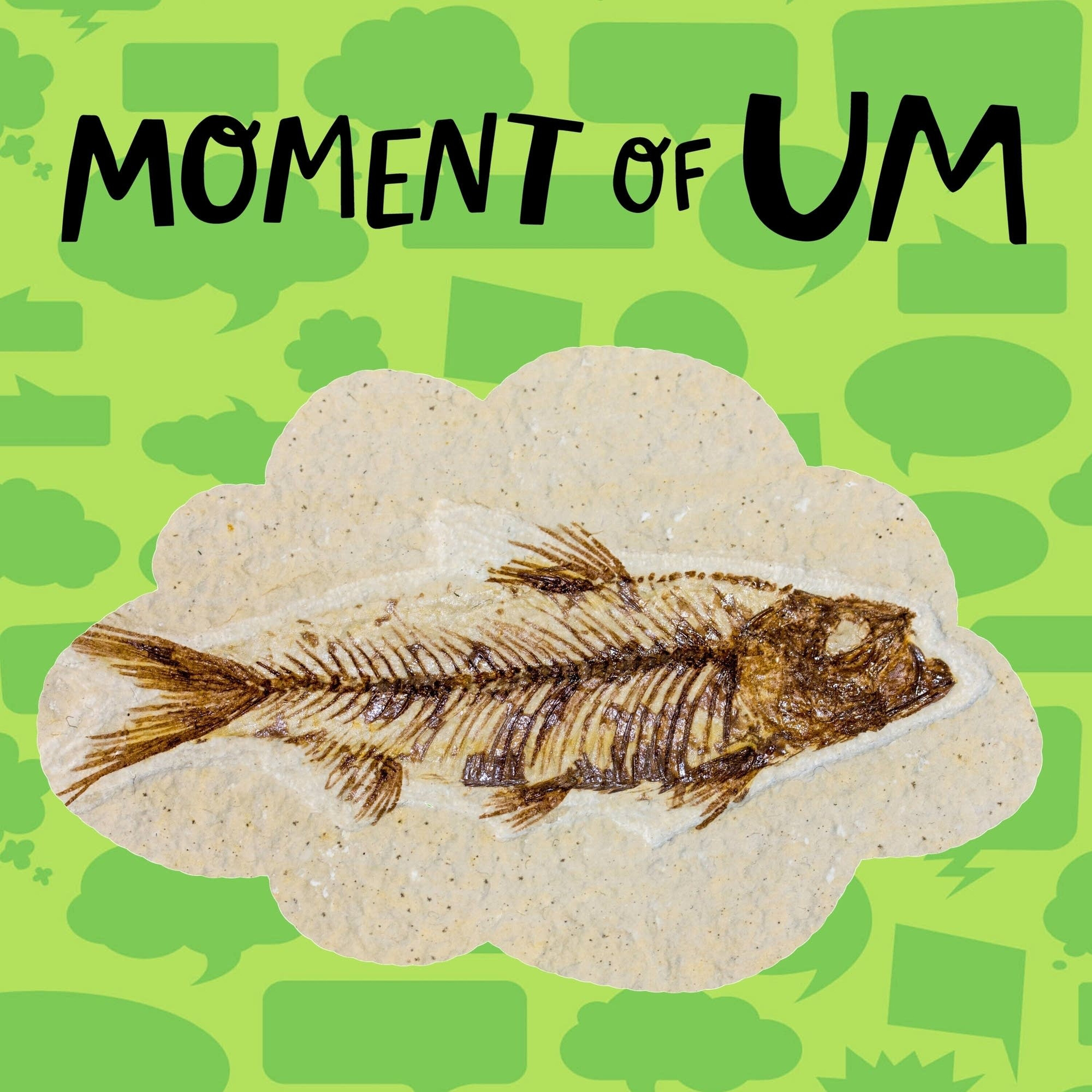 What happens when paleontologists find a fossil?