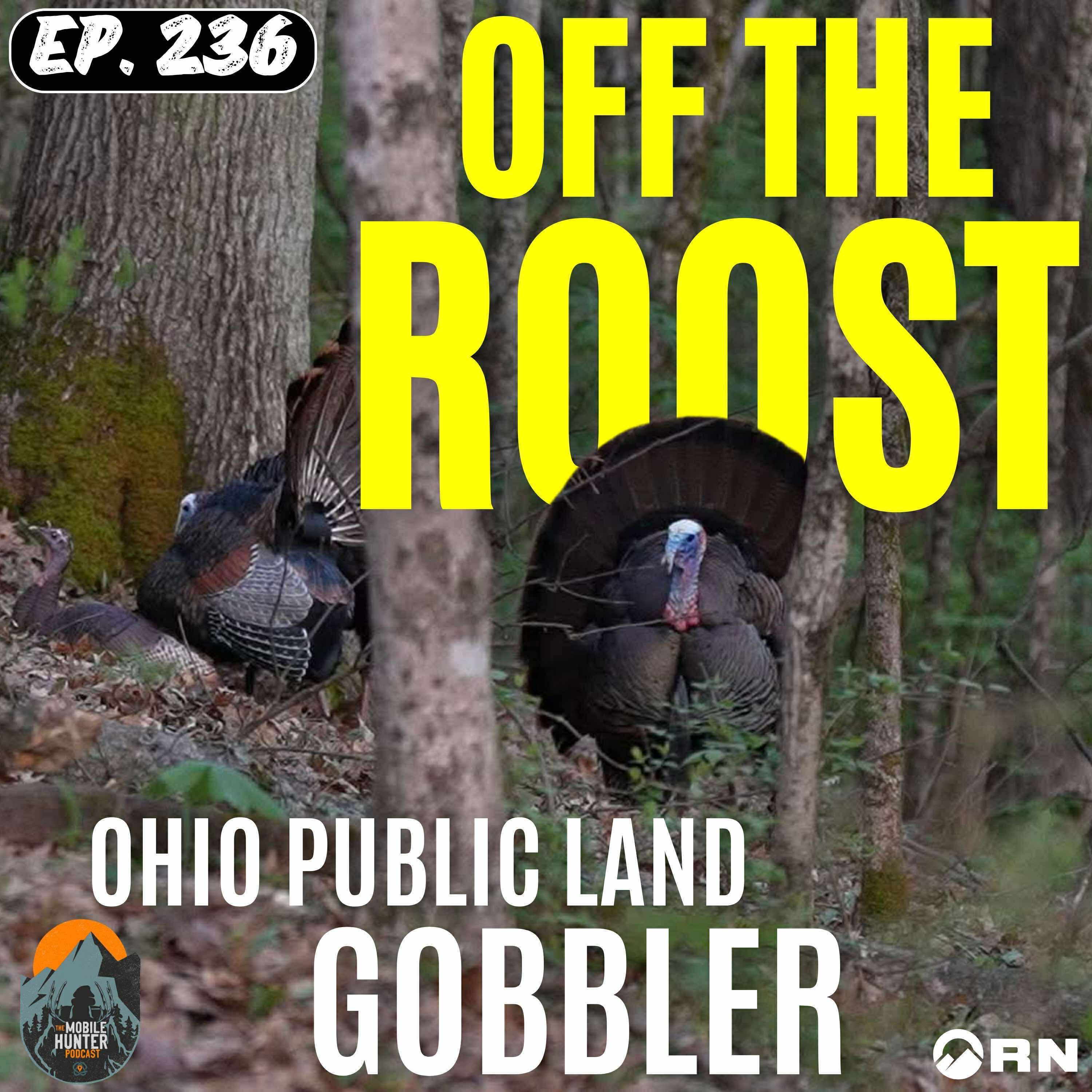 Off The Roost: Ohio Public Land Gobbler episode artwork
