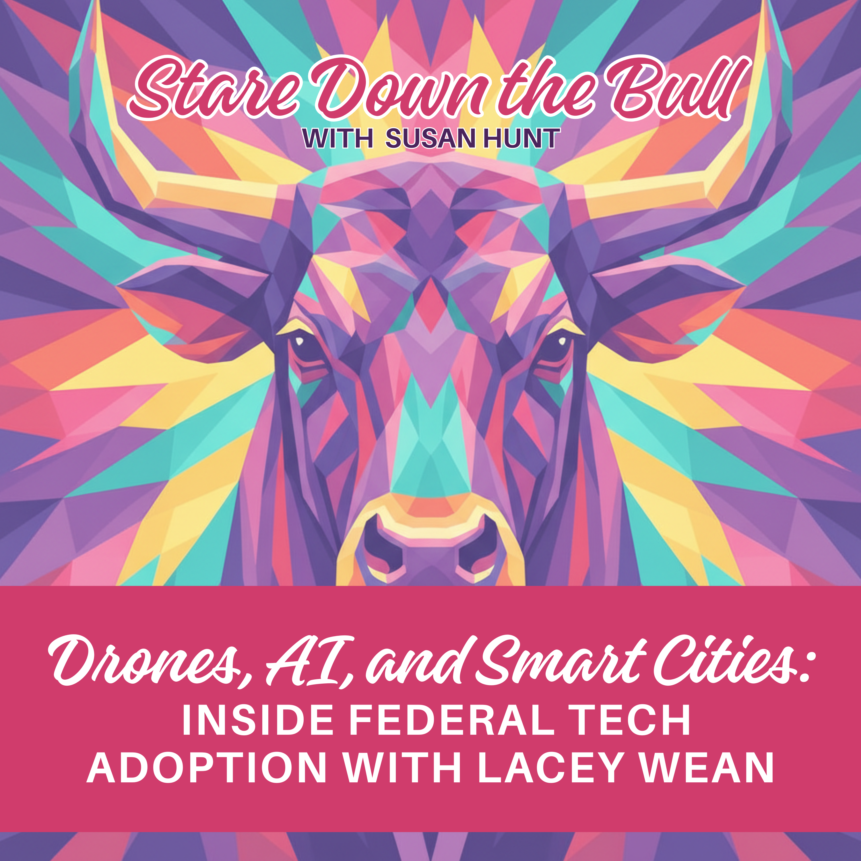 Drones, AI, and Smart Cities: Inside Federal Tech Adoption with Lacey Wean episode artwork