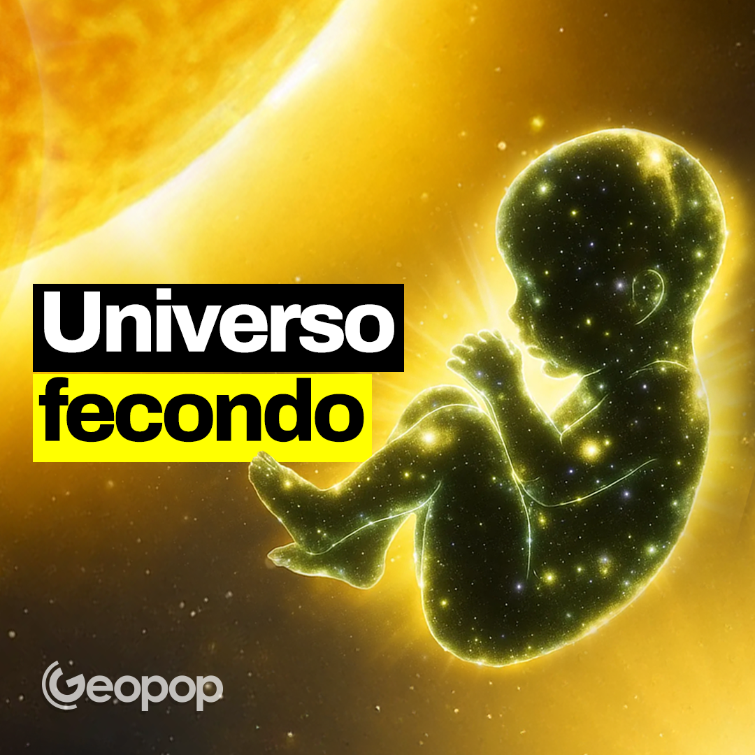 312 - L'Universo ci ha messo 14 miliardi di anni per "cucinare" NOI: perché?