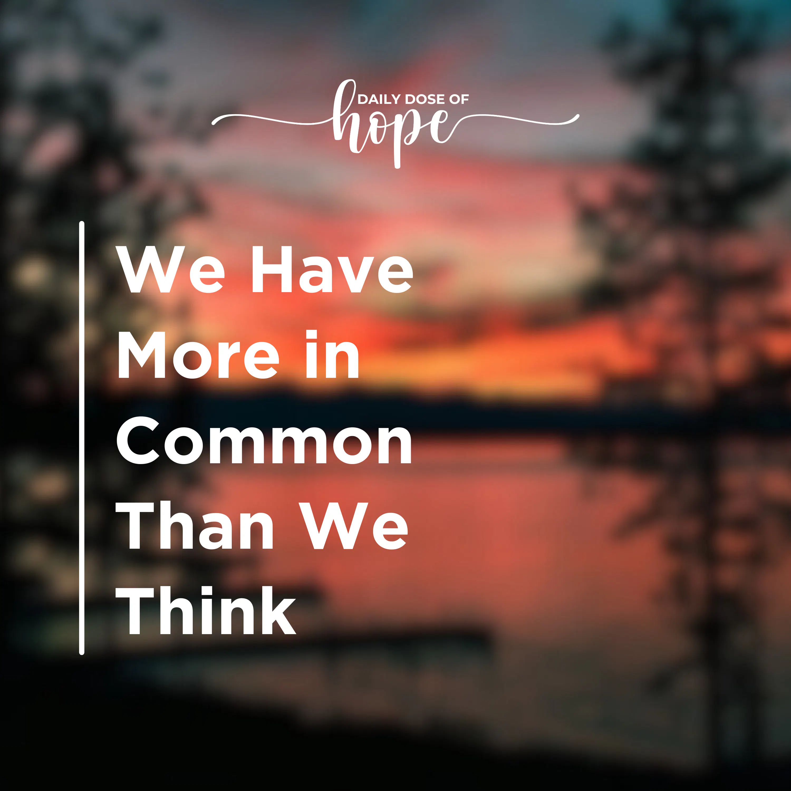 We Have More in Common Than We Think EP 379 episode artwork