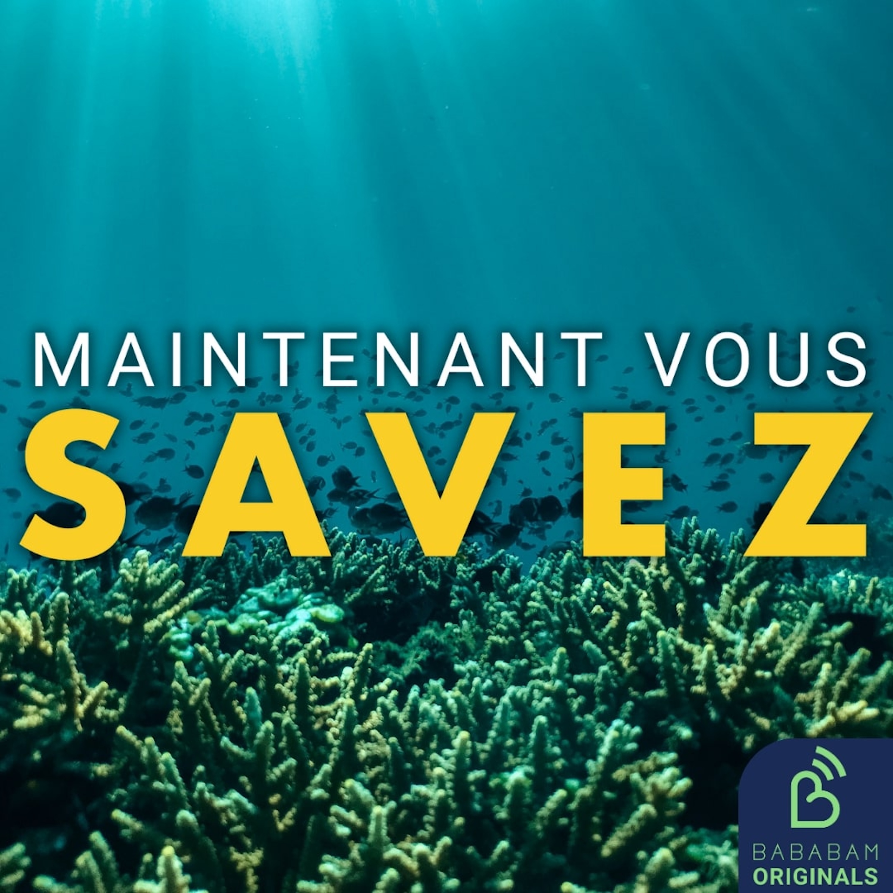 Quel est l’impact du réchauffement des océans ?