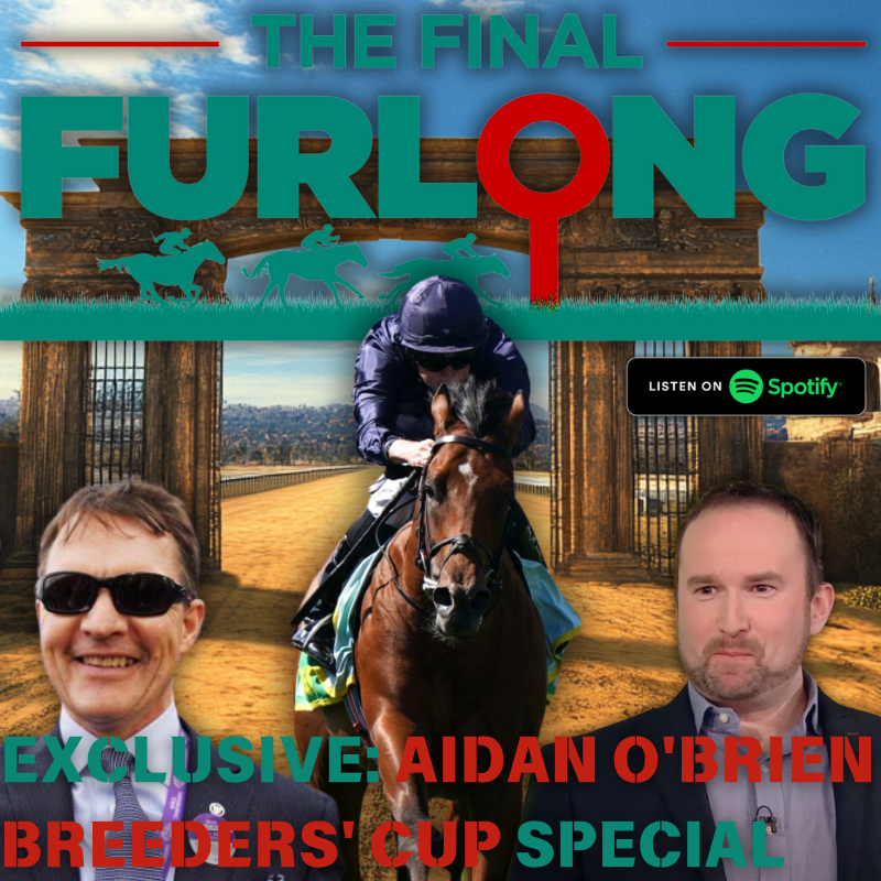 Exclusive: Aidan O'Brien's Breeders' Cup Stable Tour – Every Horse from City Of Troy to Ylang Ylang