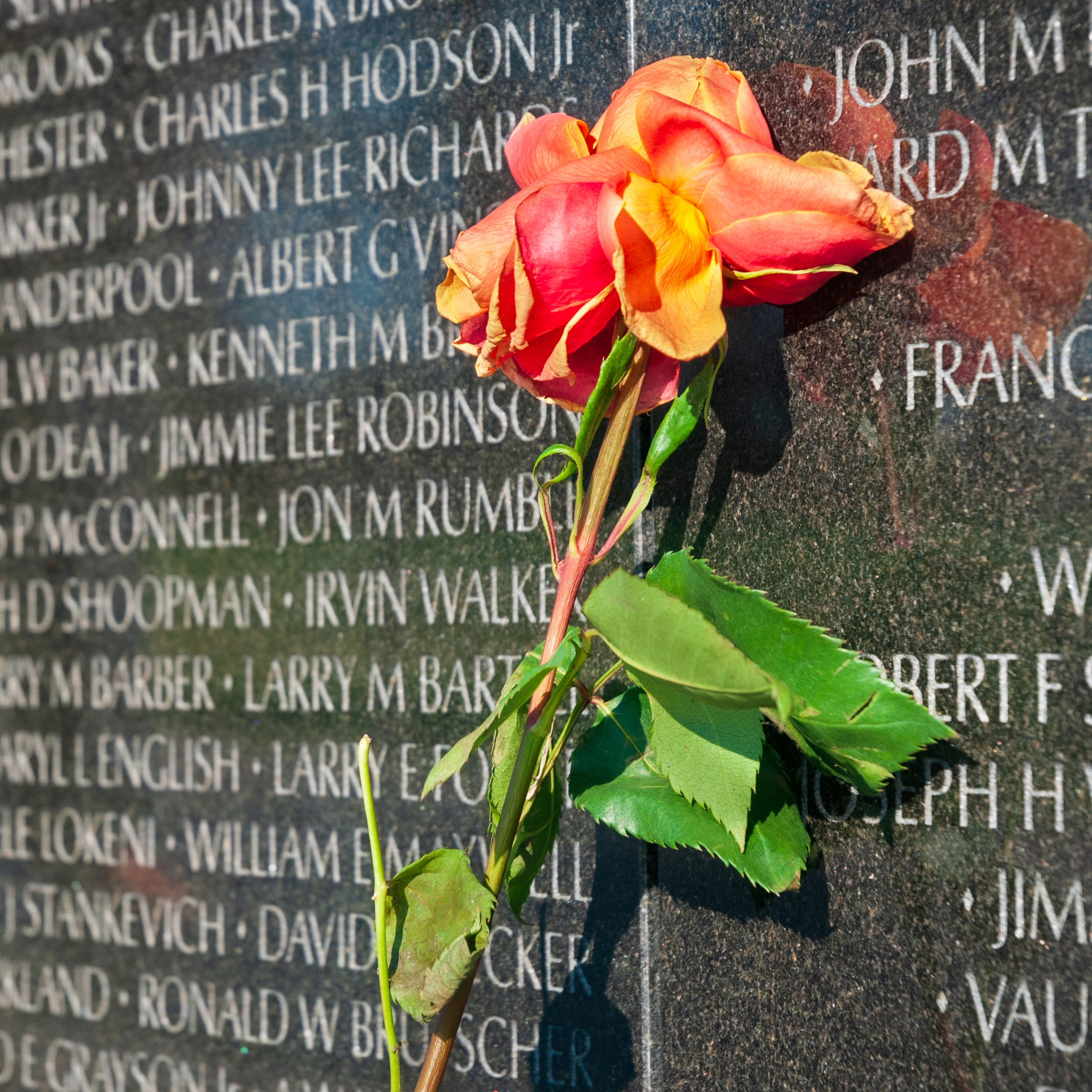 Maya Lin | Vietnam Veterans Memorial