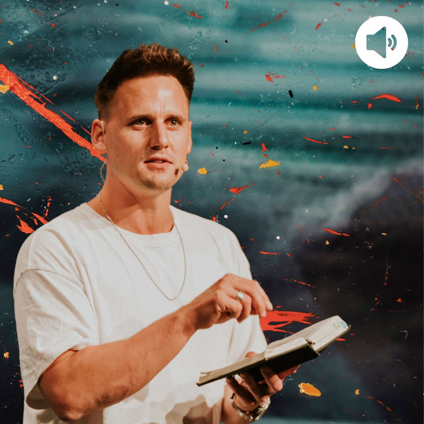 Shredder Sonntag | David Rominger