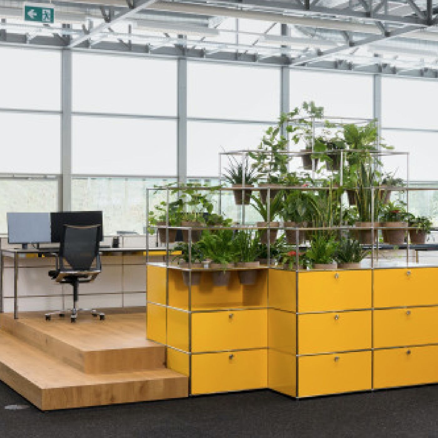 ANSA La tendenza della settimana