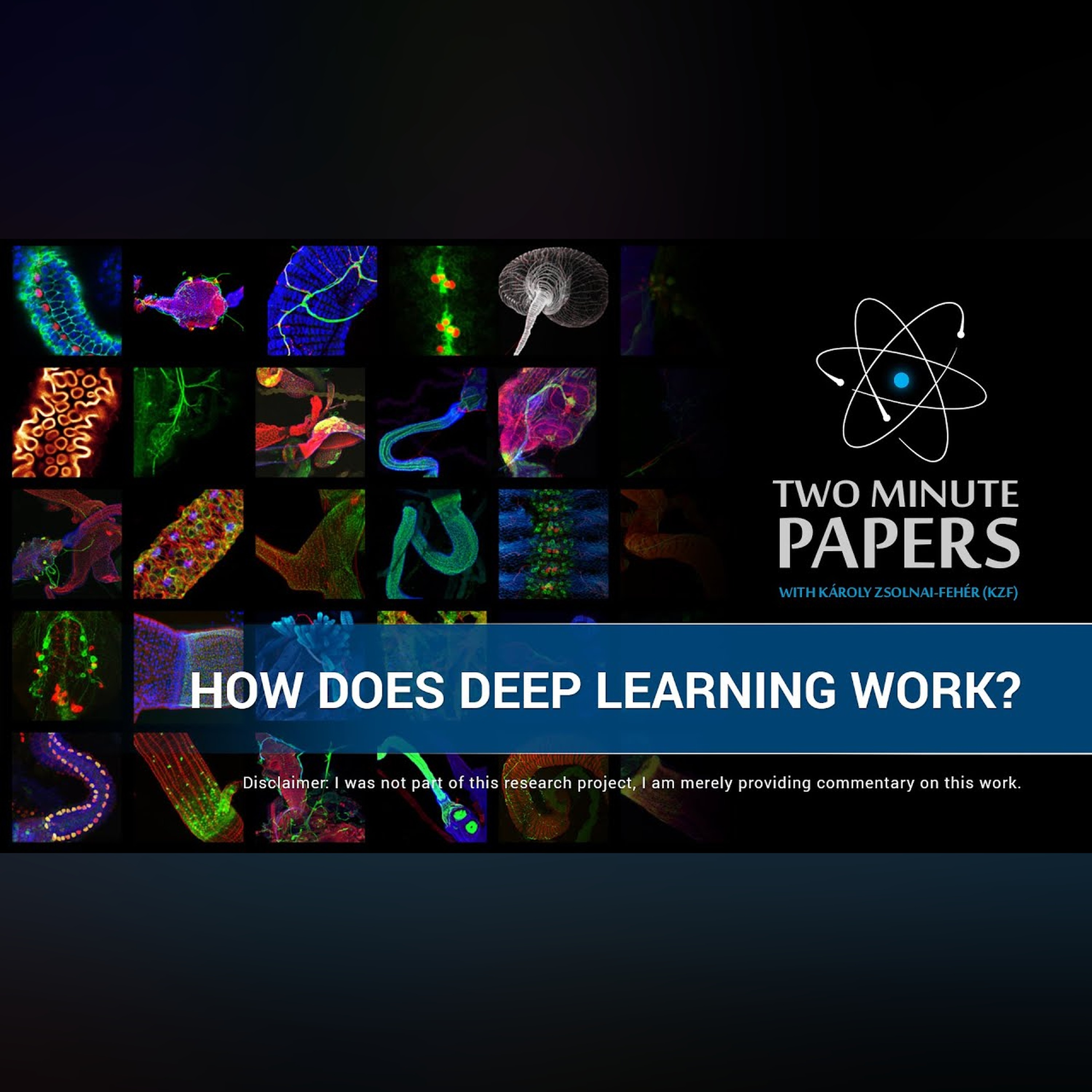 How Does Deep Learning Work? | Two Minute Papers #24 episode artwork
