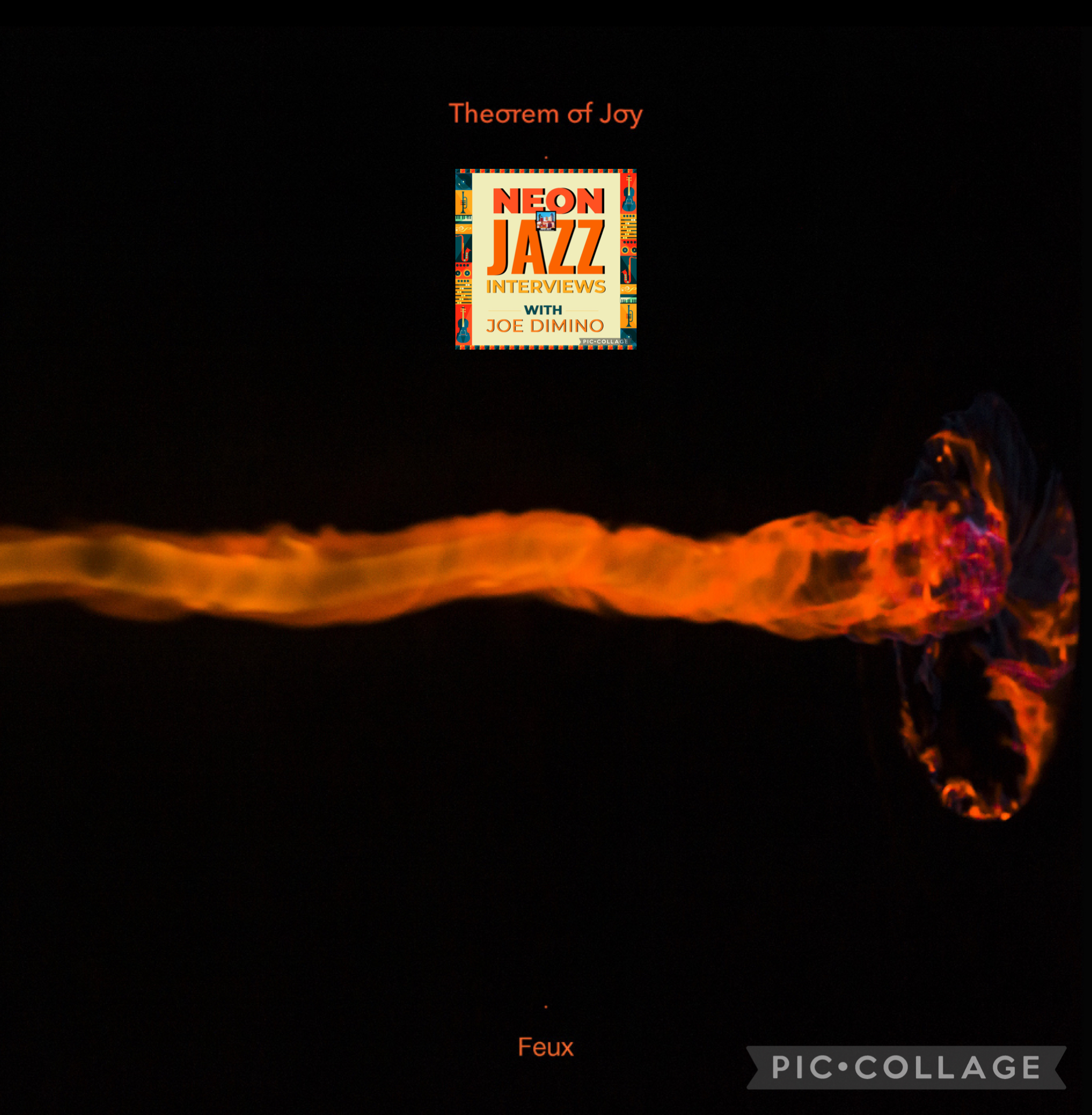 Paris-based Jazz Bassist, Composer & Leader of Theorem of Joy Thomas Julienne
