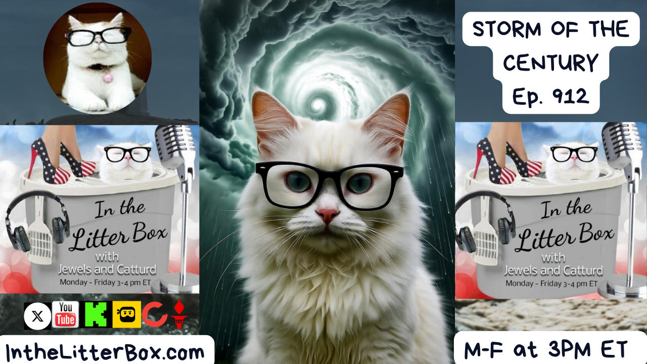 Storm of the Century | In the Litter Box w/ Jewels & Catturd – Ep. 912 – 10/29/2025