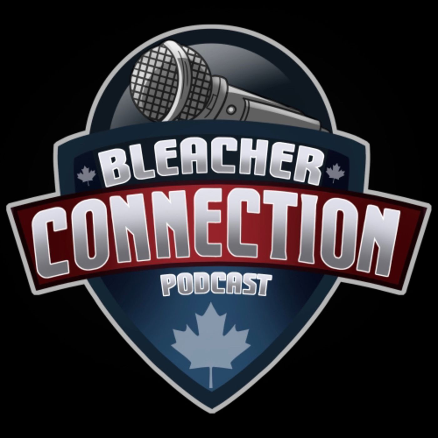 The Bleacher Connection