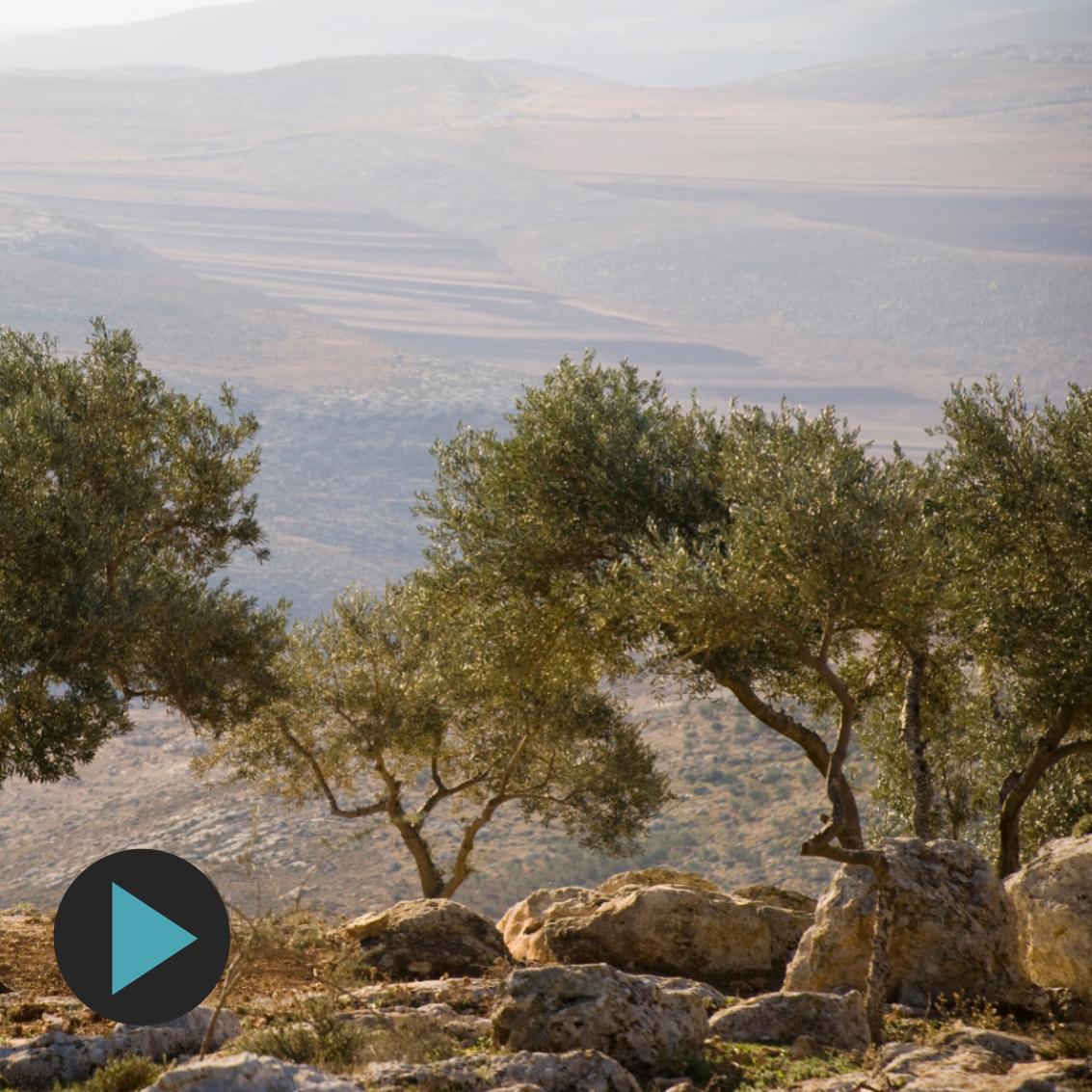 Oscar Nominated Filmmaker Annemarie Jacir — On the Making of Palestine 36