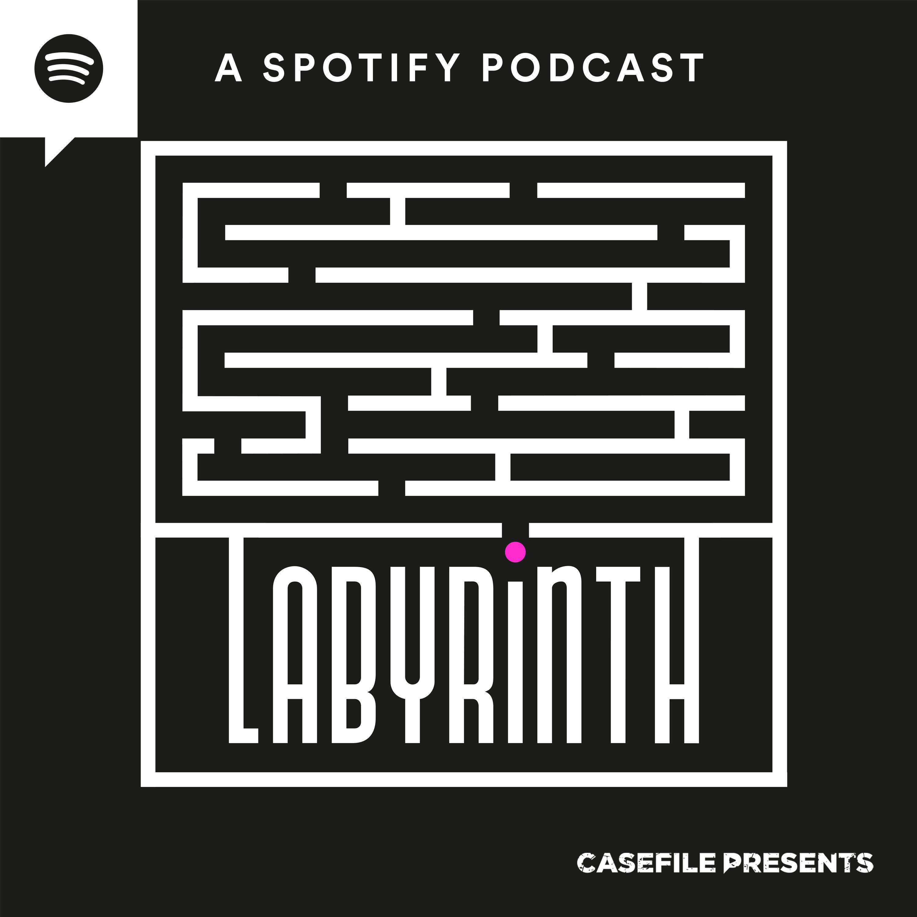 Introducing: The Labyrinth