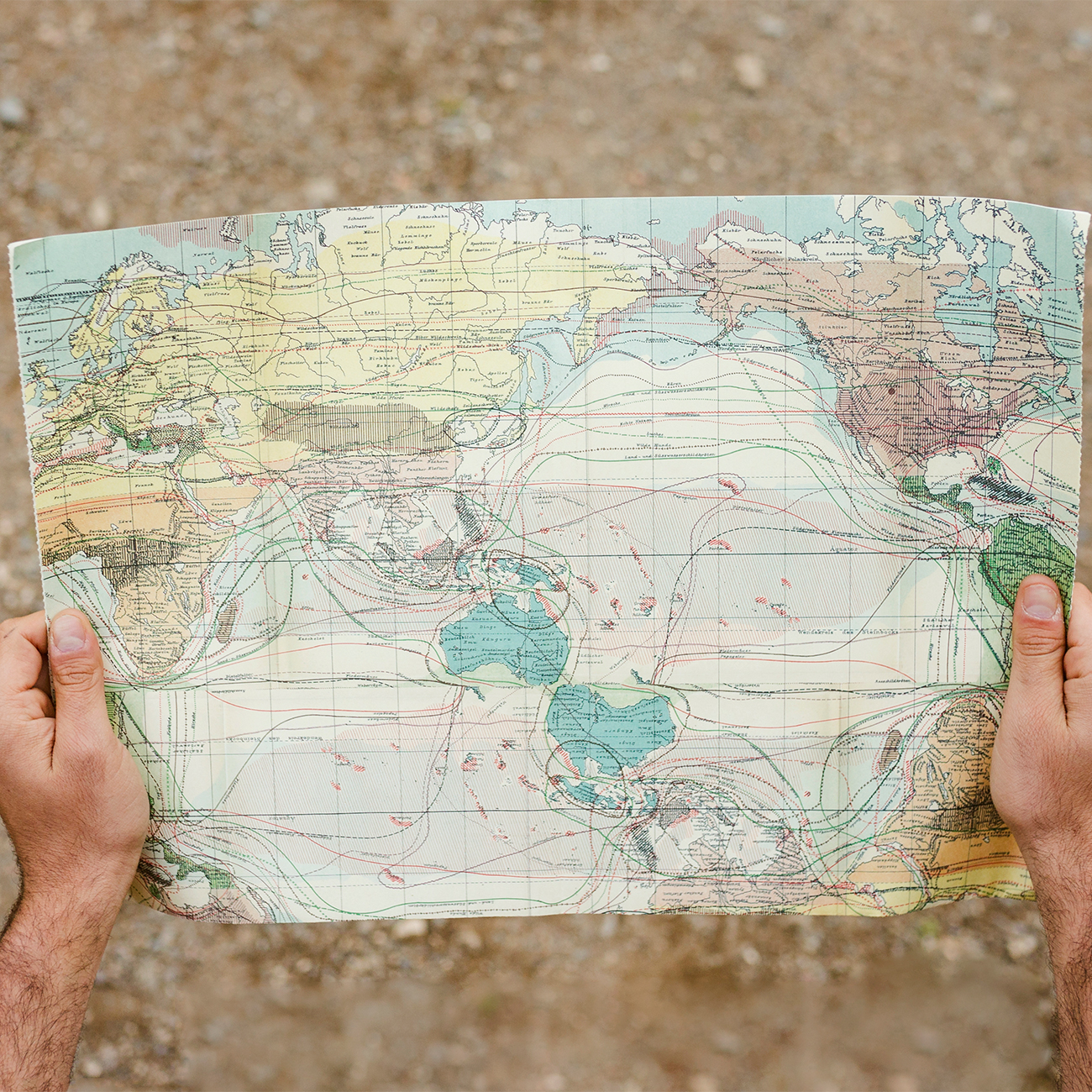 252. La historia de los mapas artwork