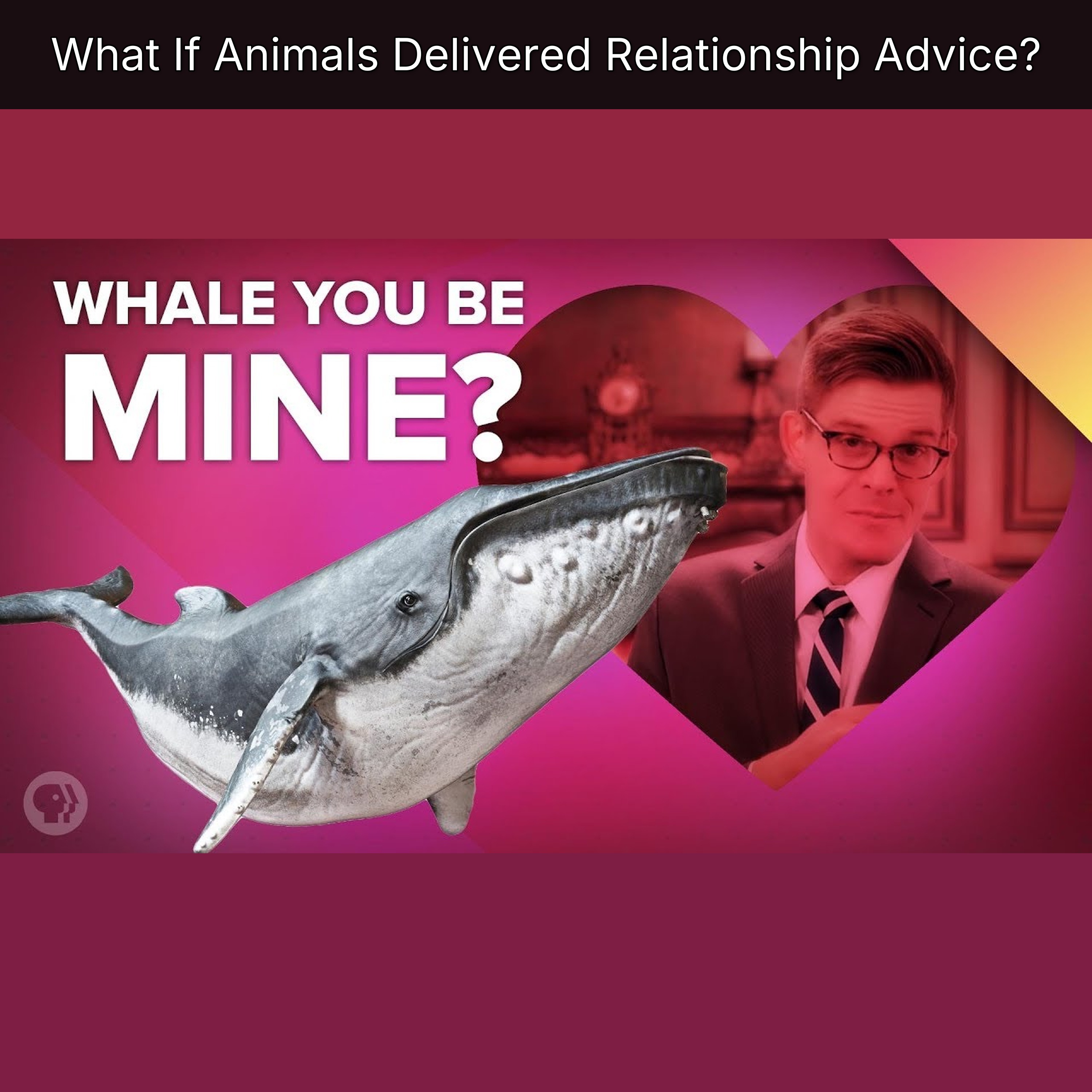 What If Animals Delivered Relationship Advice? episode artwork