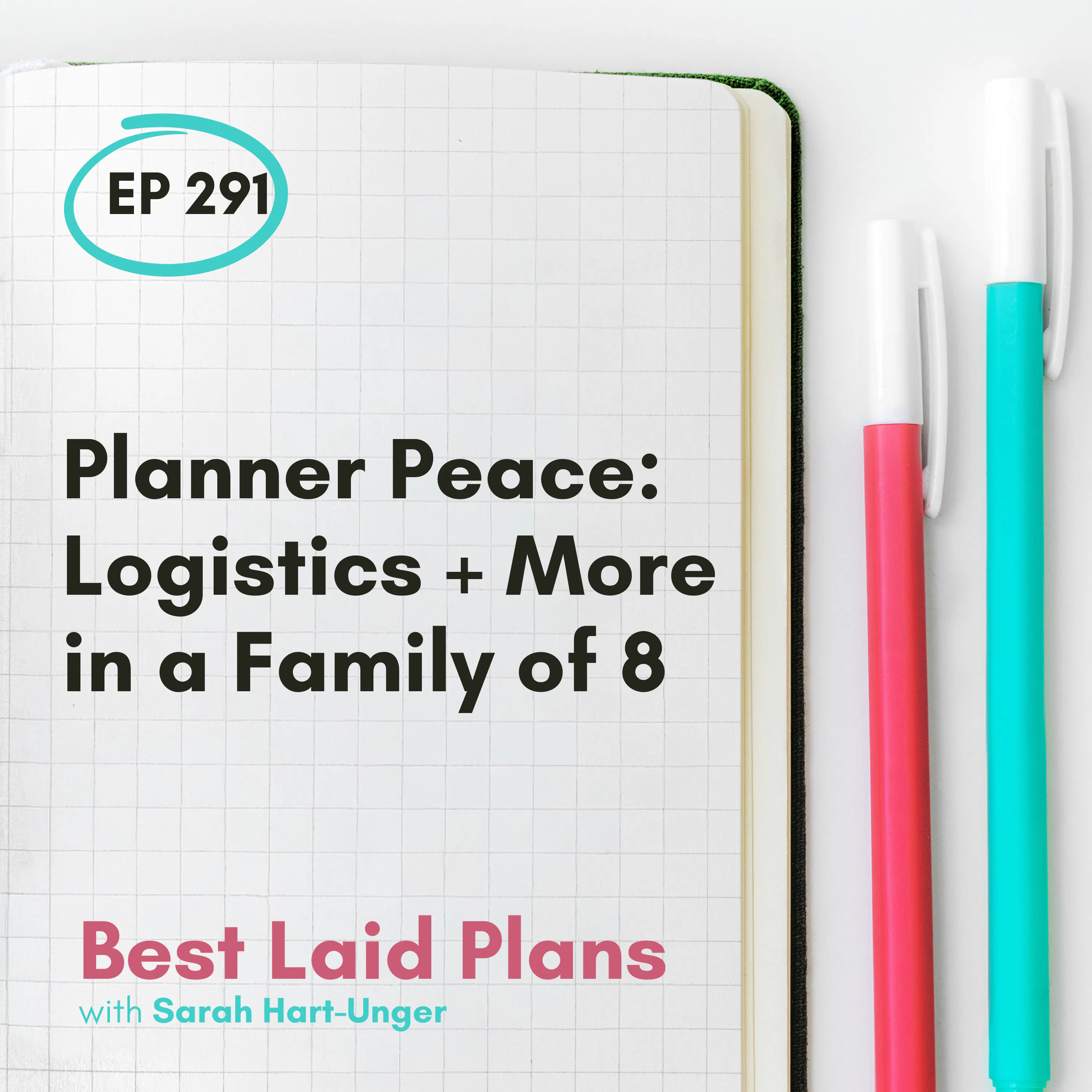 Planner Peace: Logistics + More in a Family of 8 EP 291 episode artwork