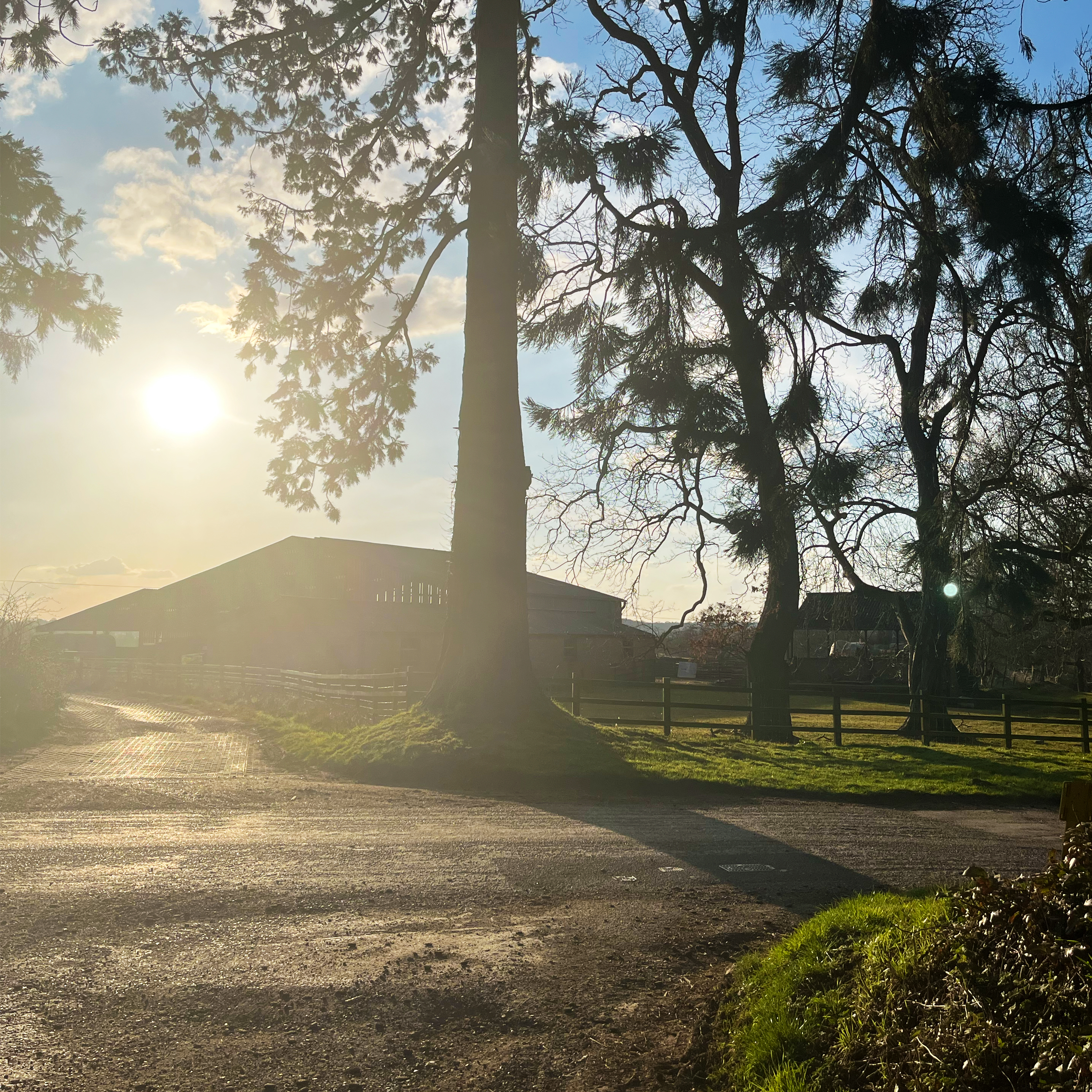 Sound Escape 218. Dusk settles on a peaceful farmyard