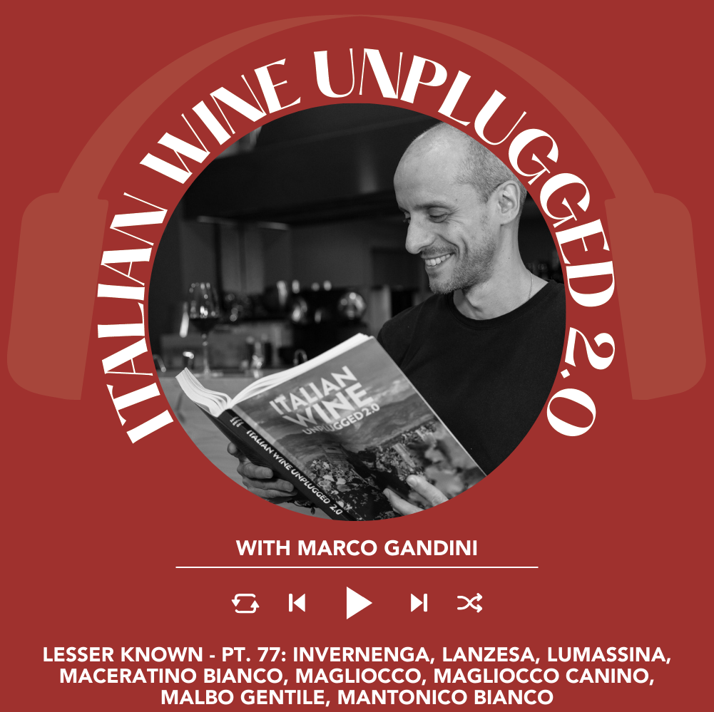 Marco Gandini Narrates Pt. 77 | Italian Wine Unplugged 2.0