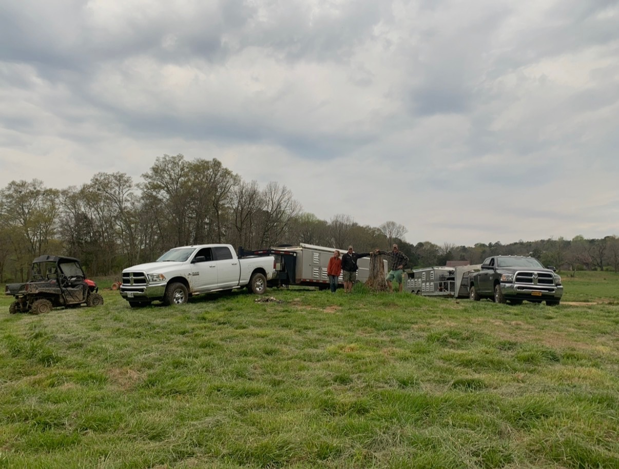 E 275. Sunrise Coffee & Training at Hudson River Retrievers