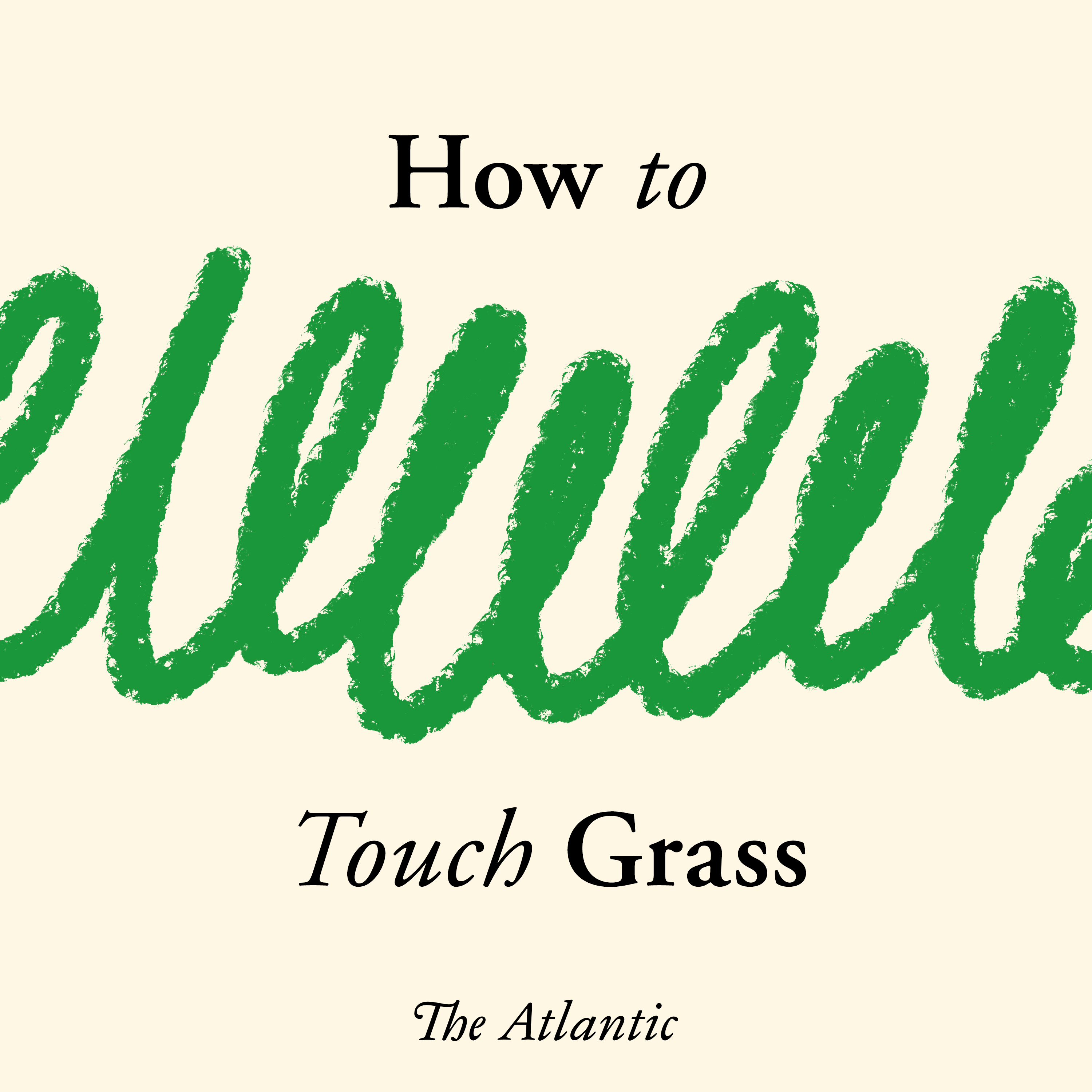 Introducing How To Touch Grass