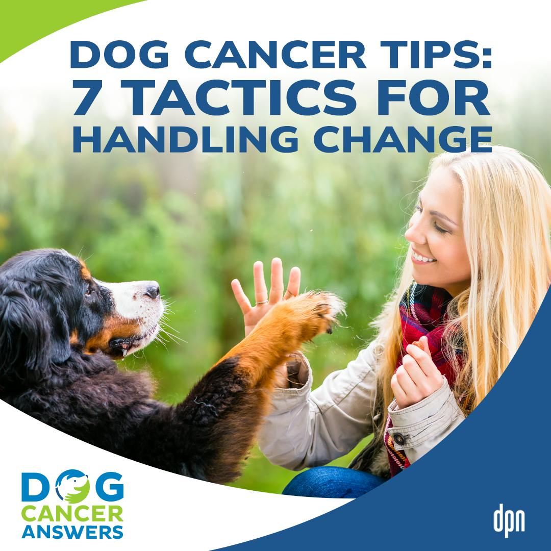 Dog Cancer Tips: 7 Tactics for Handling Change | Molly Jacobson #234