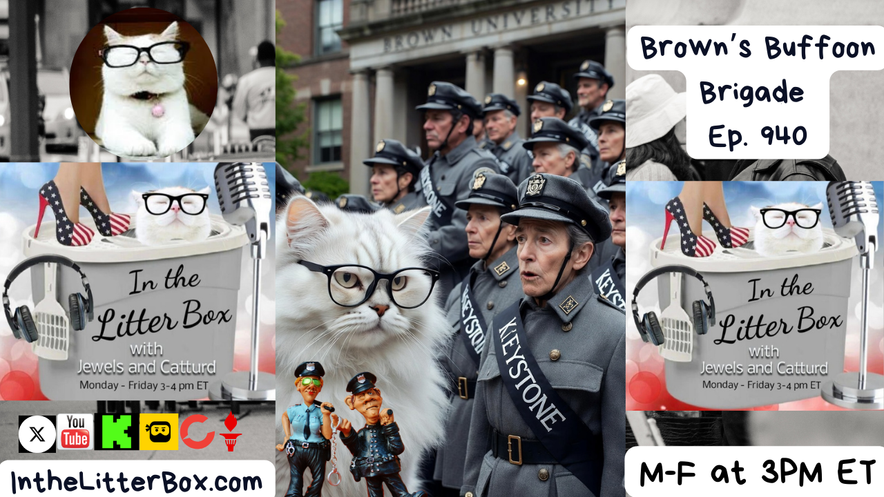 Brown's Buffoon Brigade | In the Litter Box w/ Jewels & Catturd – Ep. 940 – 12/17/2025