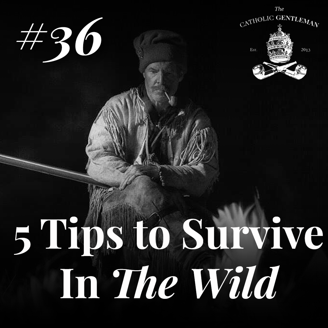 The Catholic Gentleman