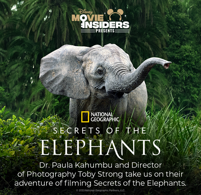 Secrets of the Elephants