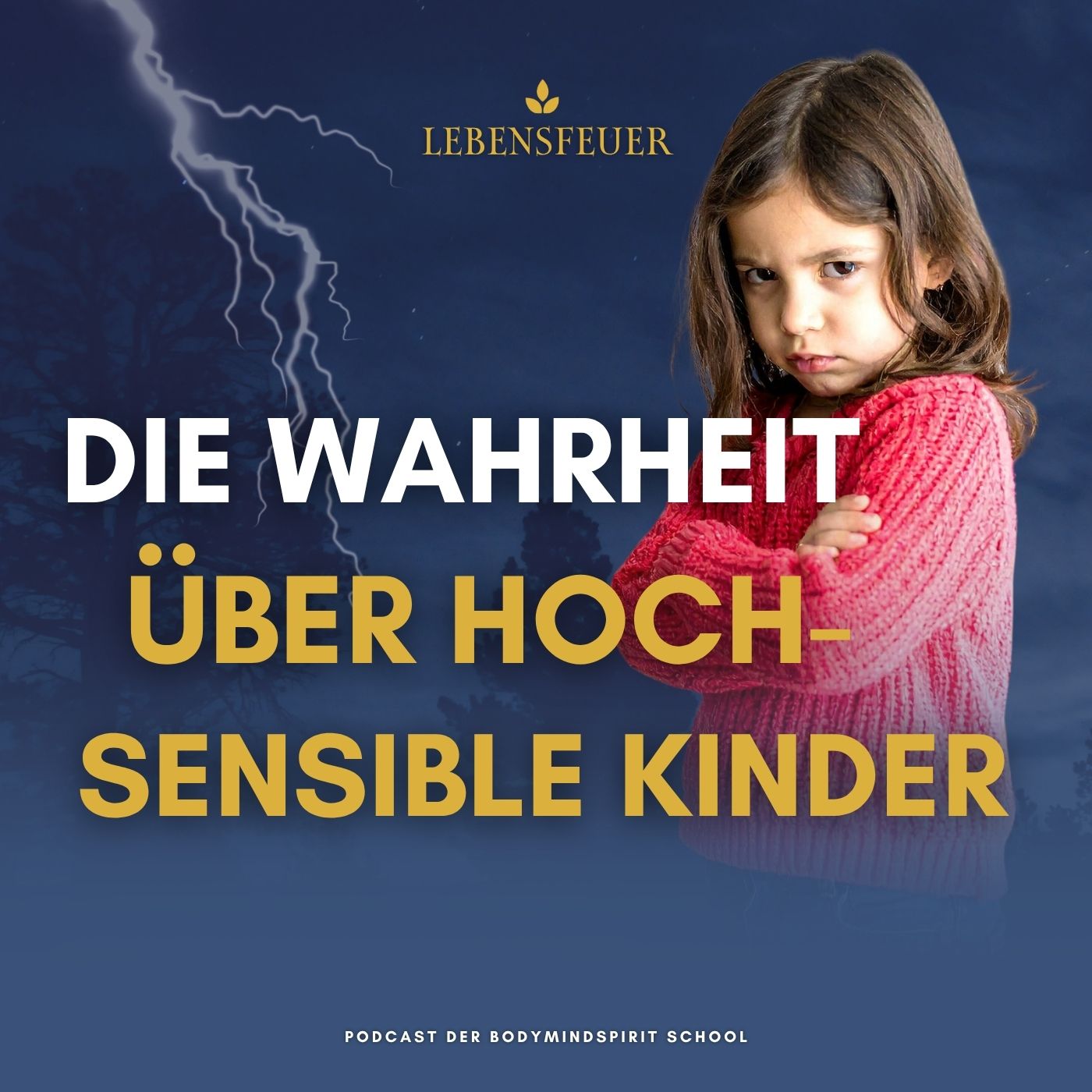 Kinder der neuen Zeit: Die Wahrheit über hochsensible Kinder episode artwork