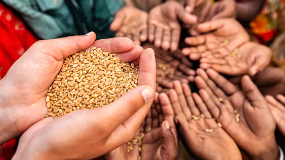 ¿Cuáles son las causas de la crisis en las ONG de ayuda humanitaria?