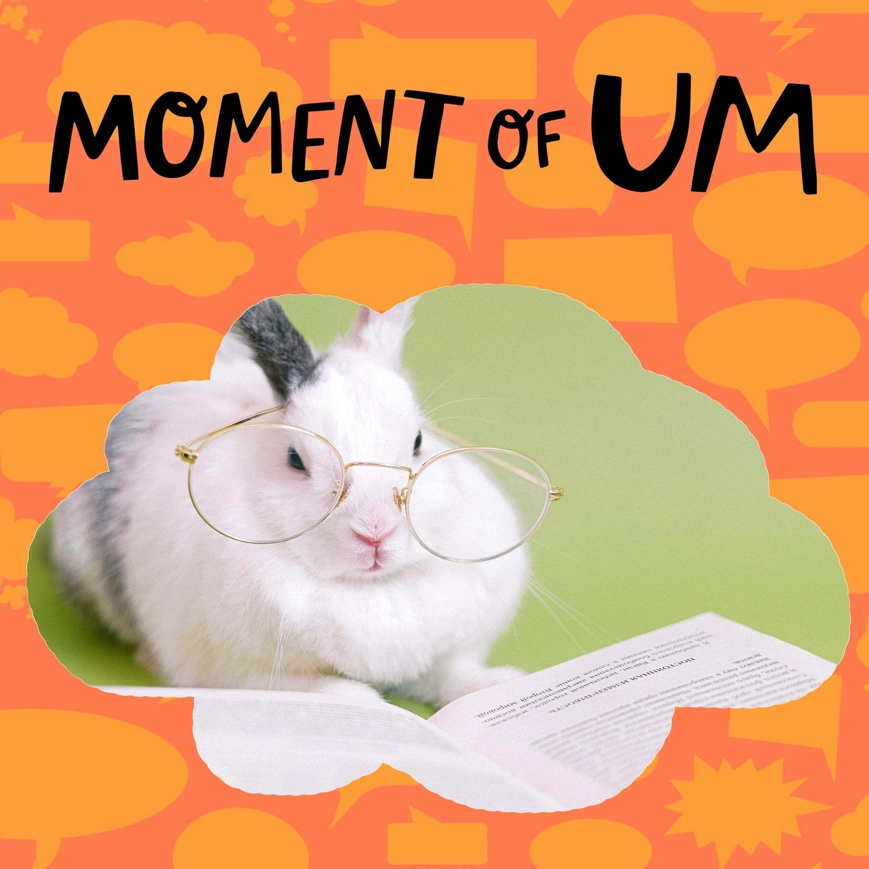 How are our brains different from other animals' brains?